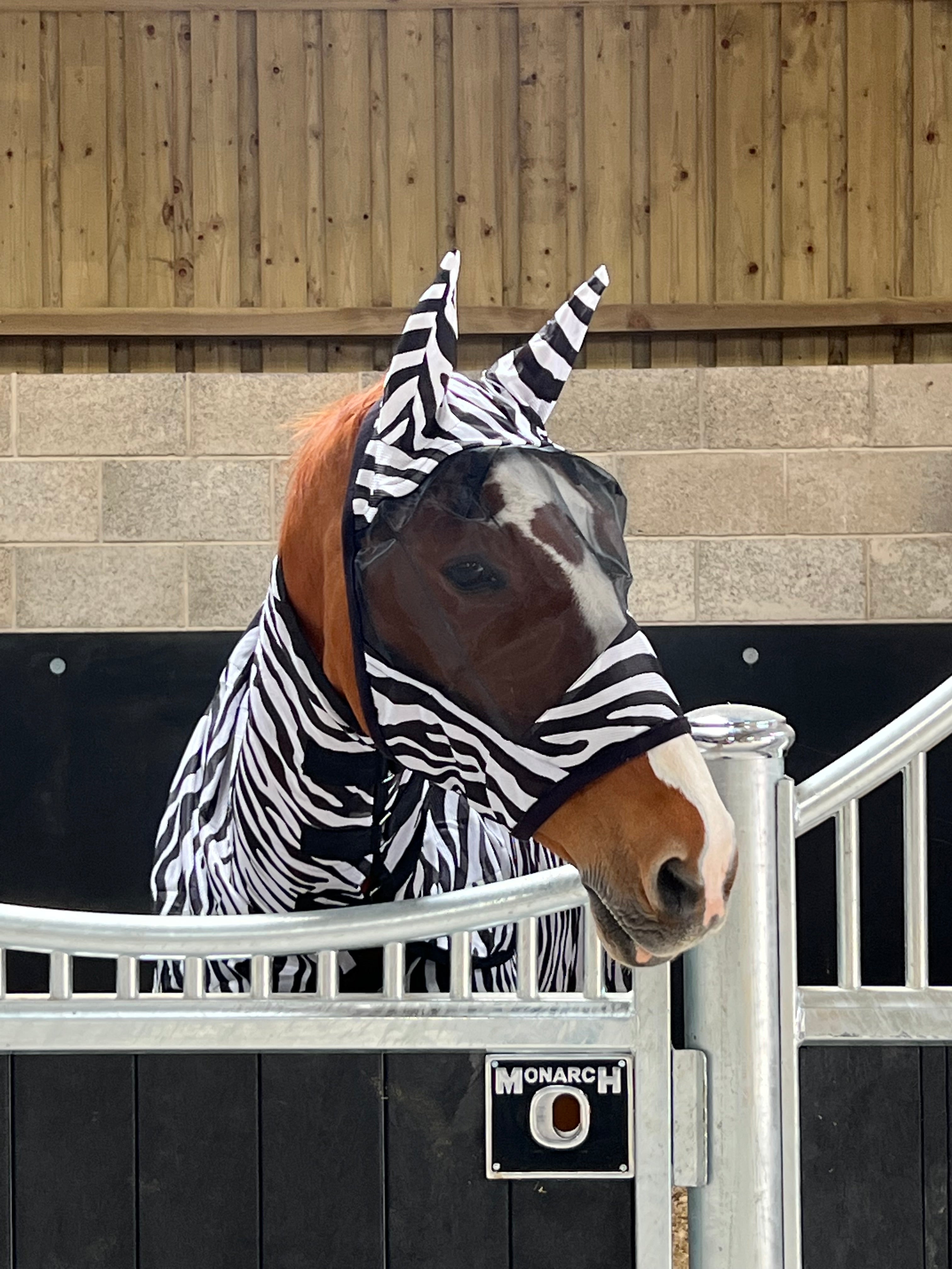 Black, White & Zebra Print Padded Mesh Fly Mask Hood with Ears - Pony / Cob / Full / X-Full