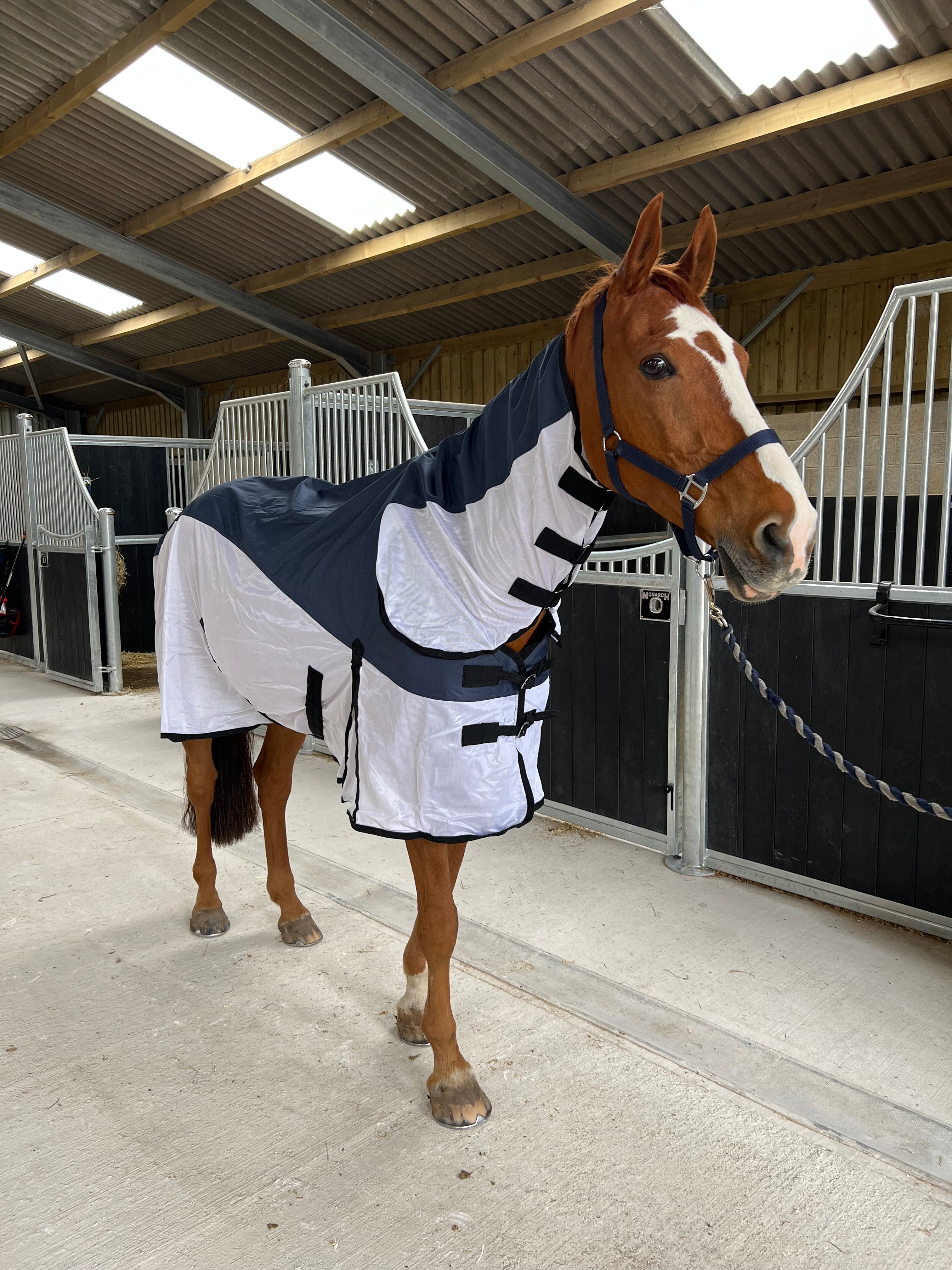 Hybrid Fly & Showerproof Mesh Sheet Turnout Rug - 600d Ripstop 0g Fill Upper Lining