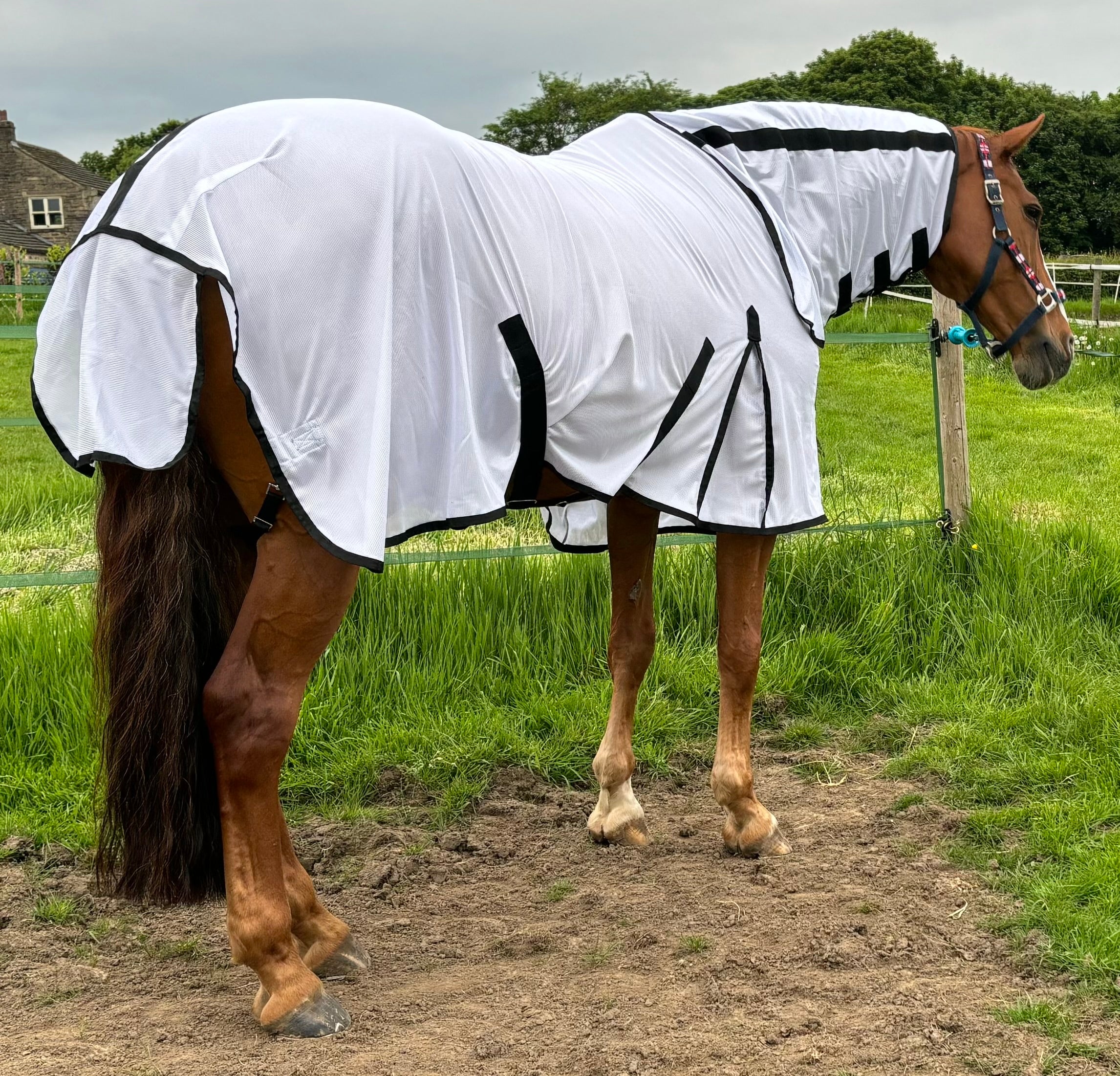 Cool White Fly Rug for Horse / Pony - Lightweight Full Neck Combo