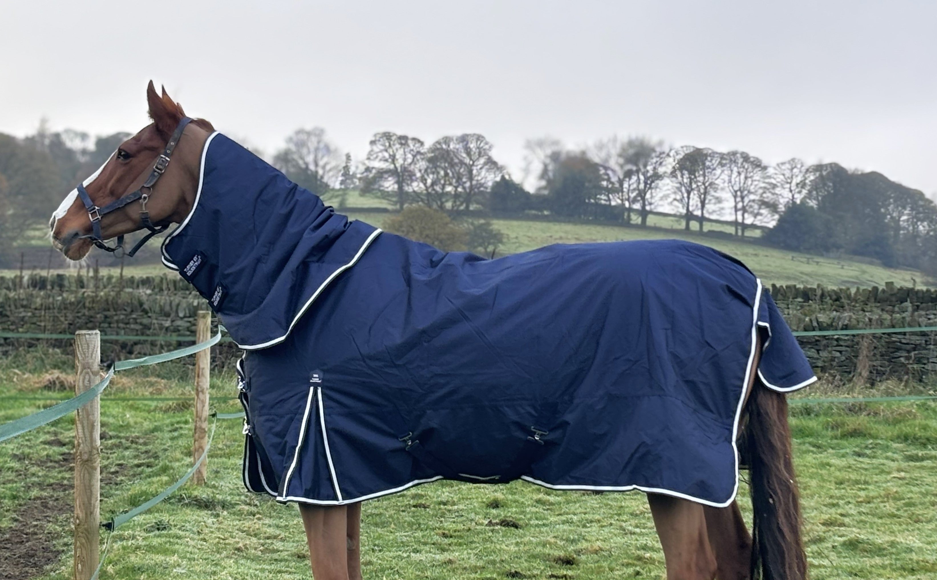 Lightweight Combo 600d Denier Turnout Rug 50g Fill Navy