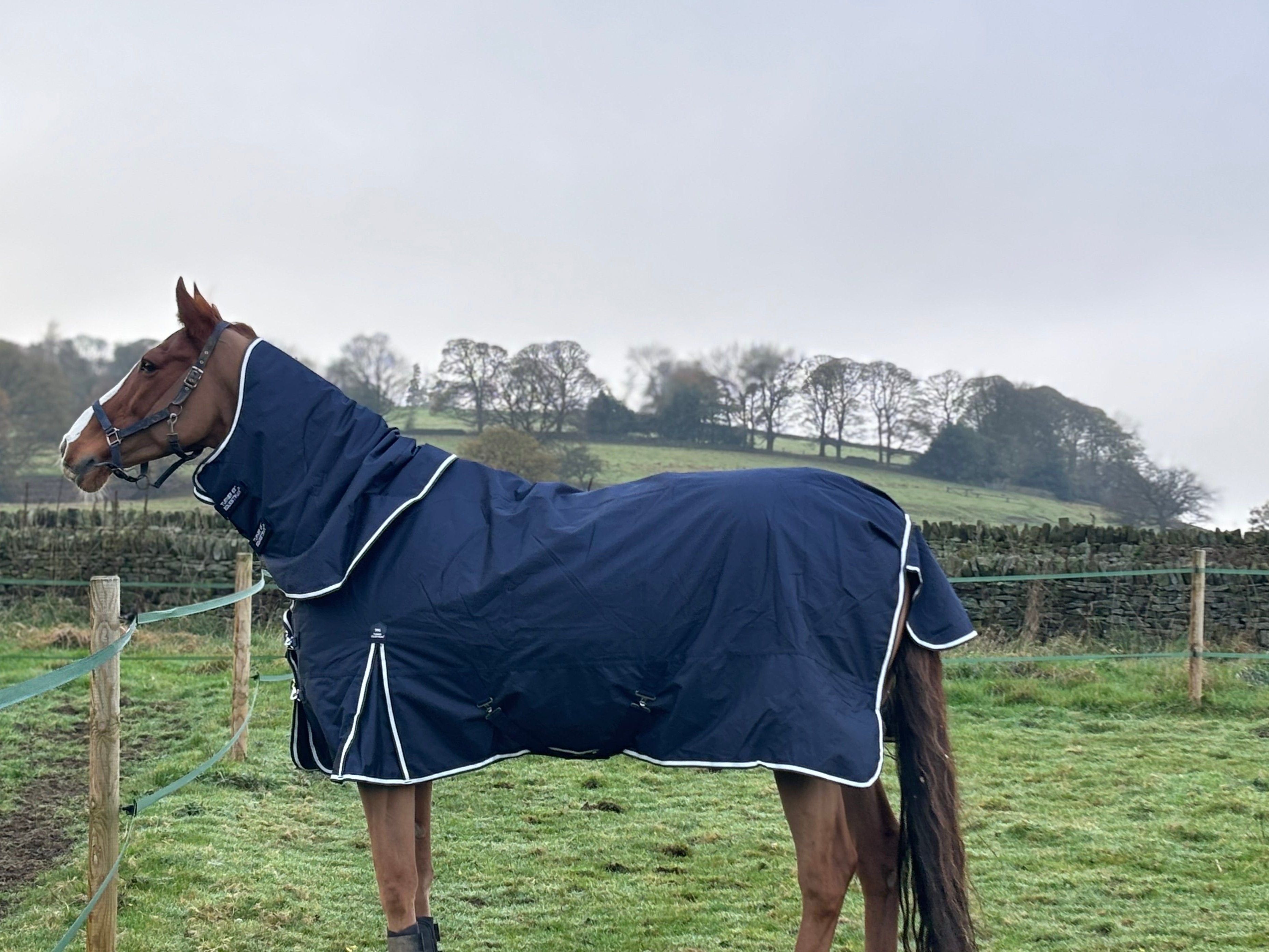 Lightweight Combo 600d Denier Turnout Rug 50g Fill Navy