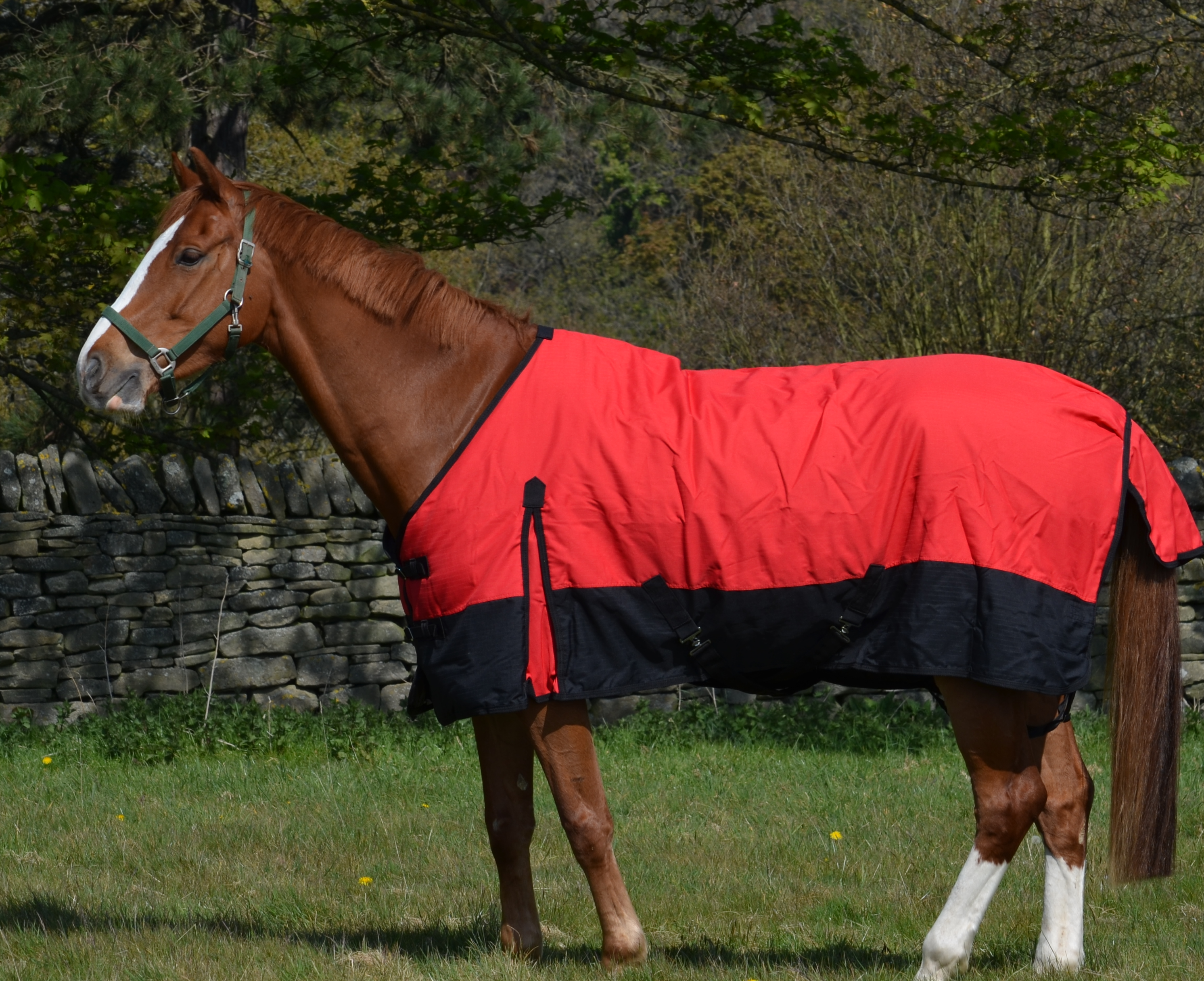 NEW 2024 Mediumweight 600 Denier Turnout Rug 200g Fill Red