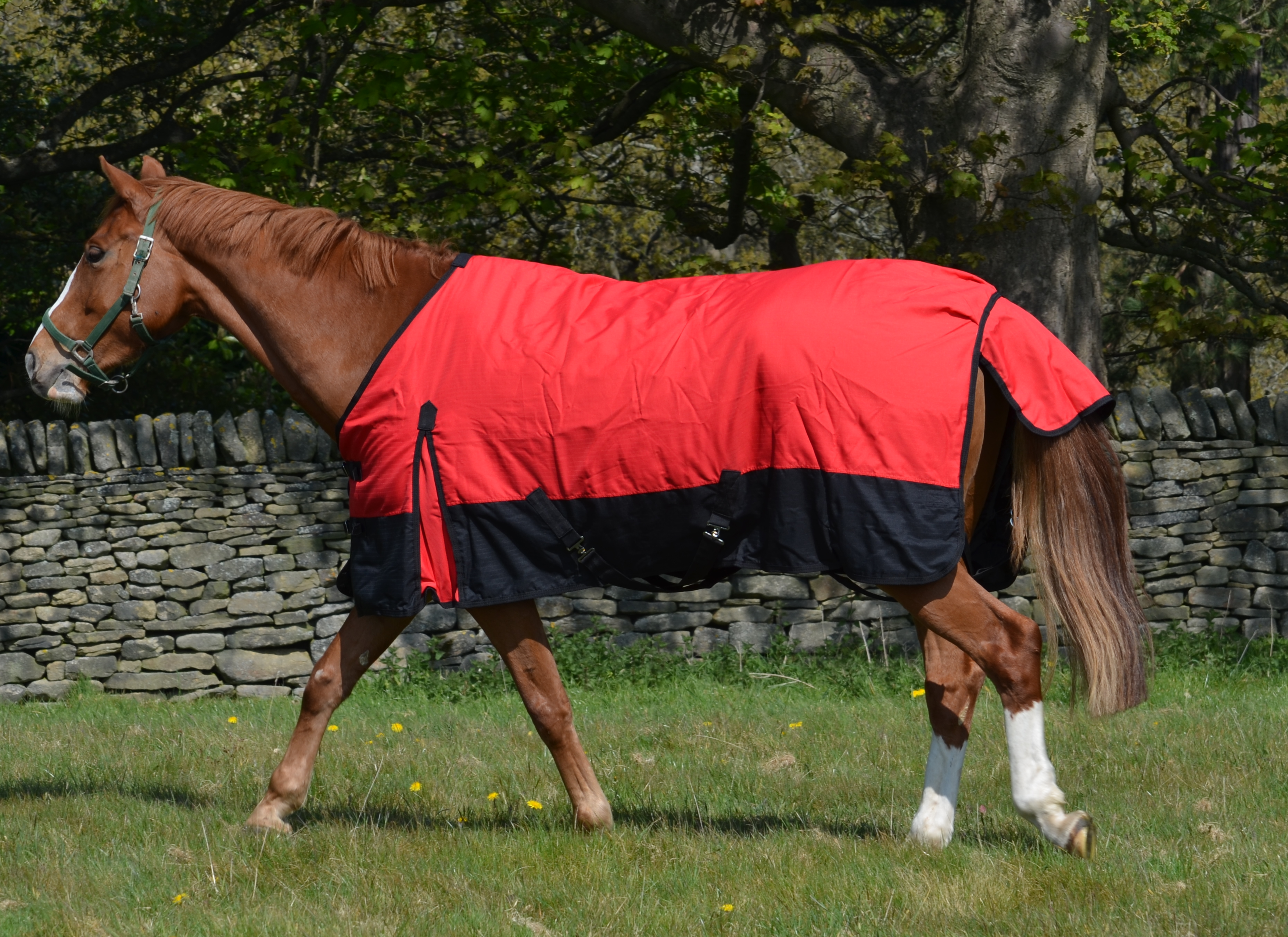 NEW 2024 Mediumweight 600 Denier Turnout Rug 200g Fill Red