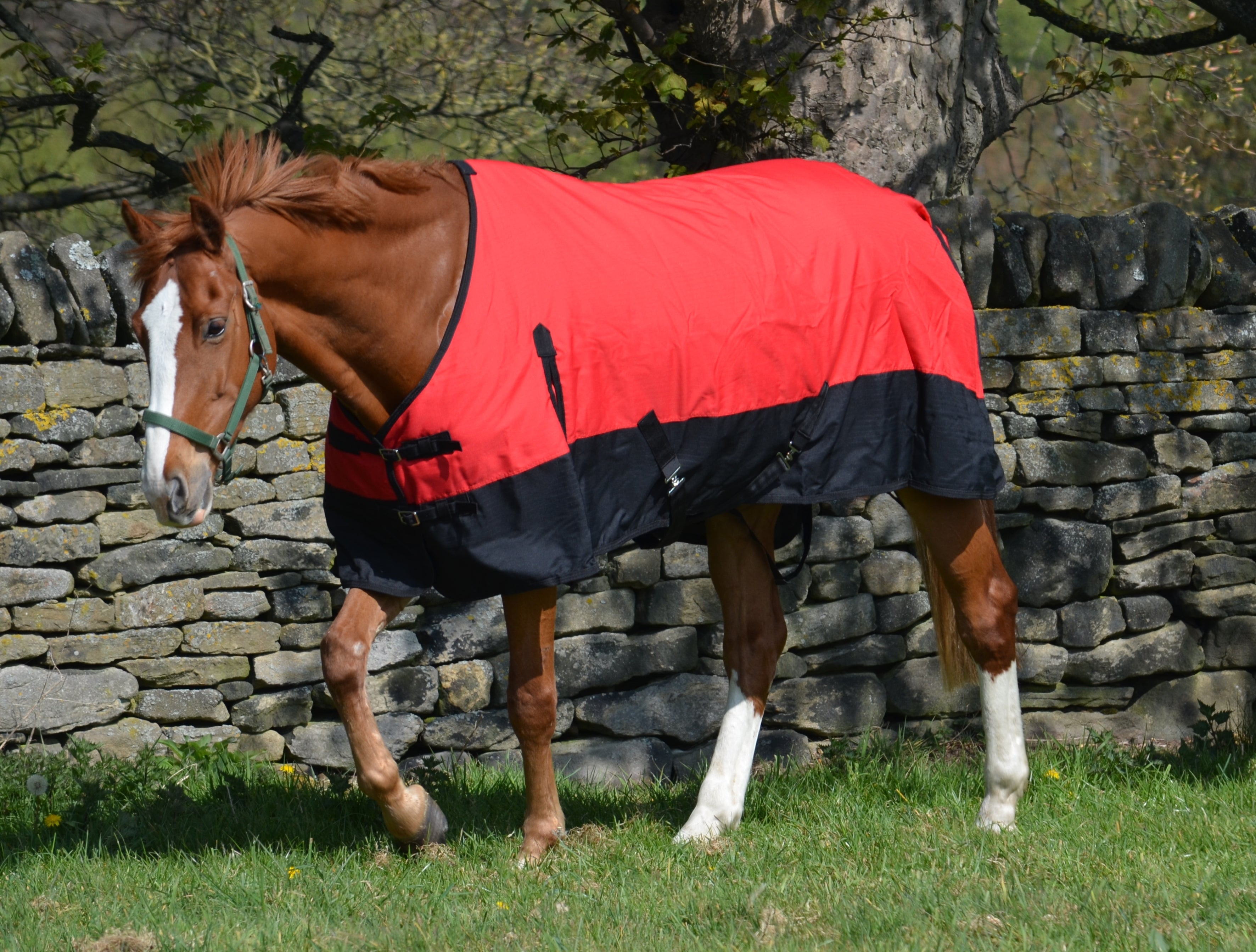 NEW 2024 Mediumweight 600 Denier Turnout Rug 200g Fill Red