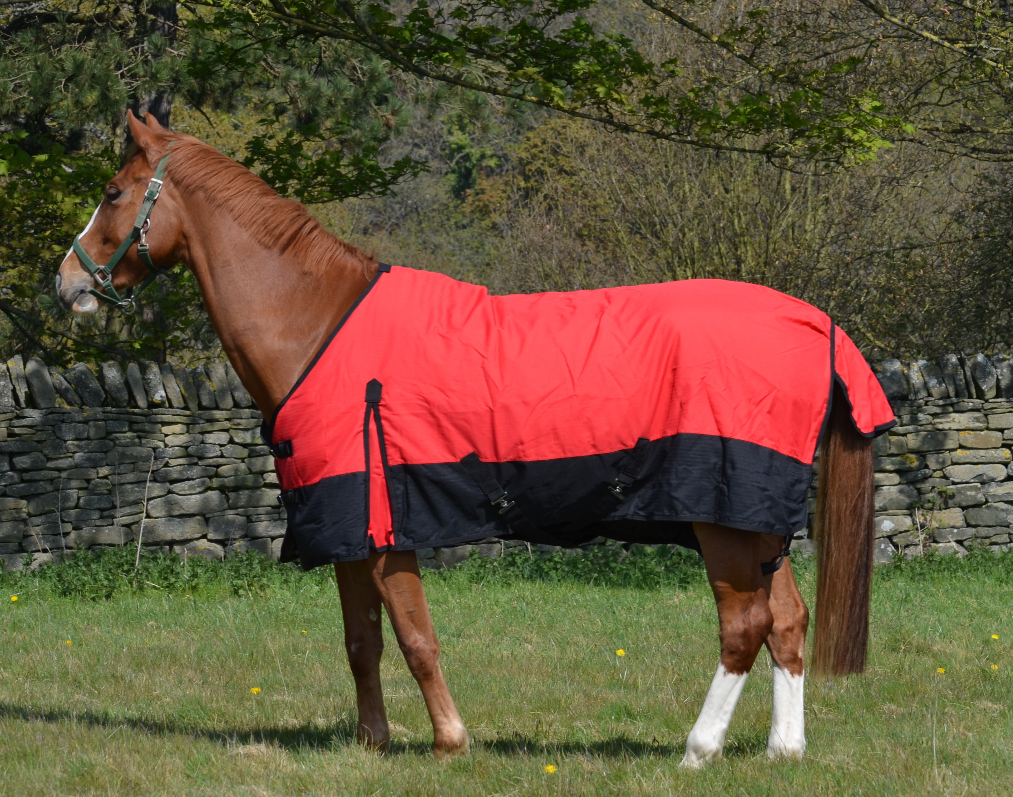 NEW 2024 Mediumweight 600 Denier Turnout Rug 200g Fill Red