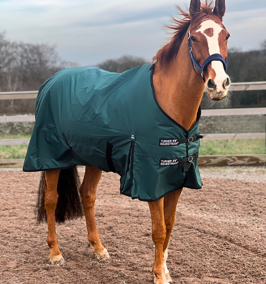 Lightweight 600 Denier Turnout Rug 100g Fill Forest Green