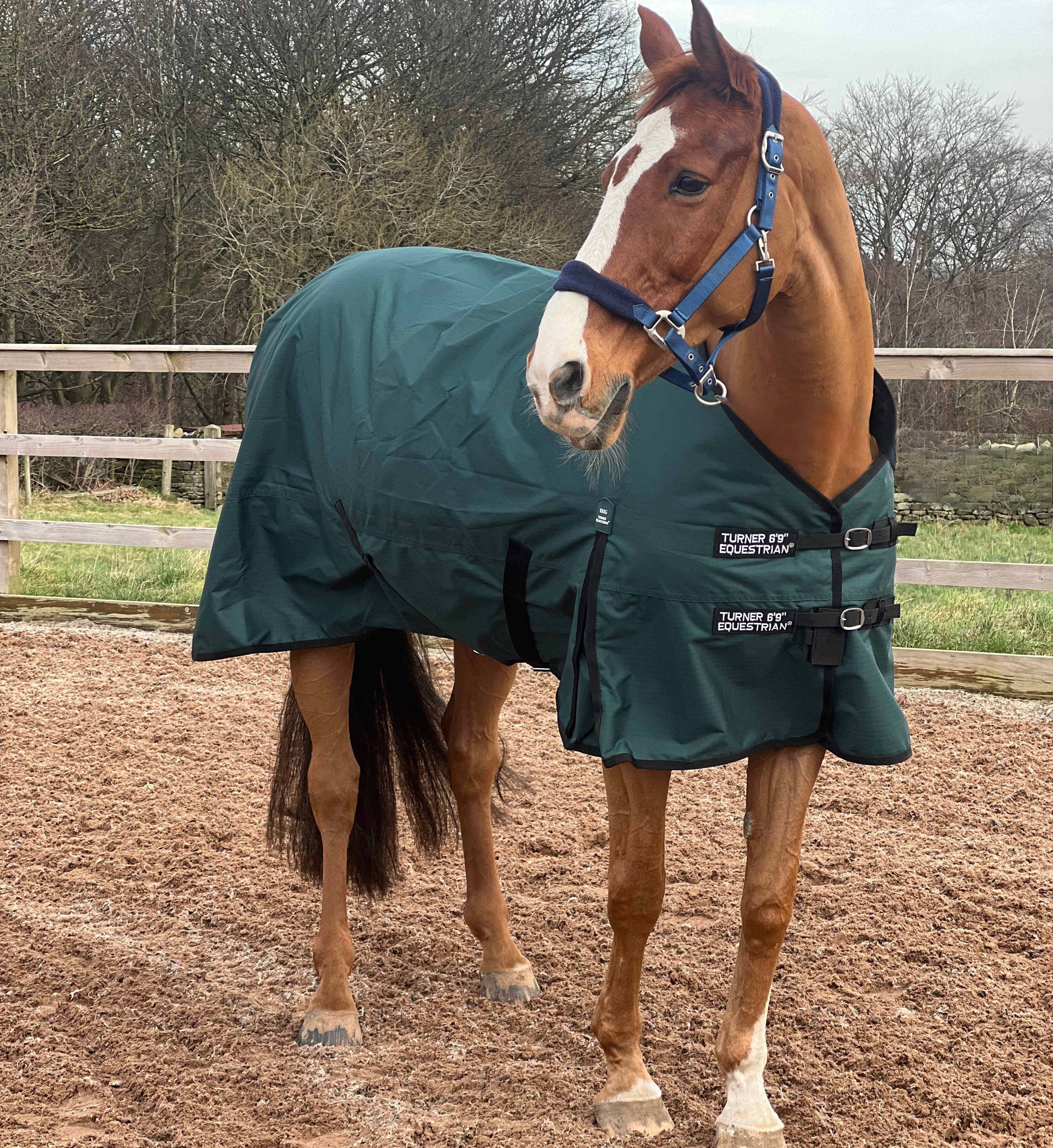 Lightweight 600 Denier Turnout Rug 100g Fill Forest Green