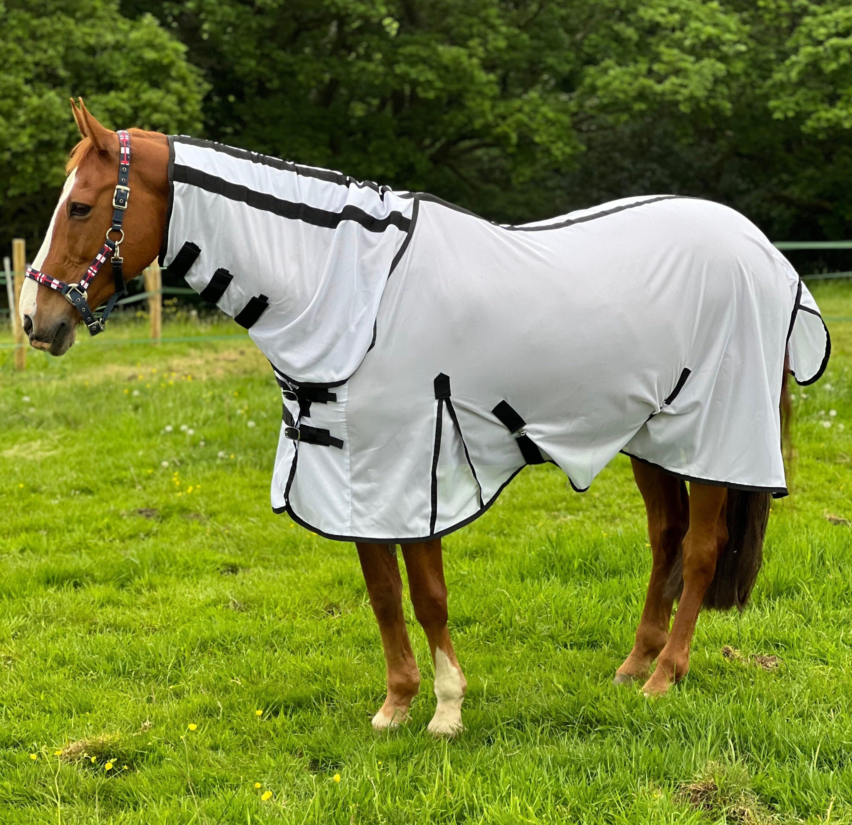 Cool White Fly Rug for Horse / Pony - Lightweight Full Neck Combo