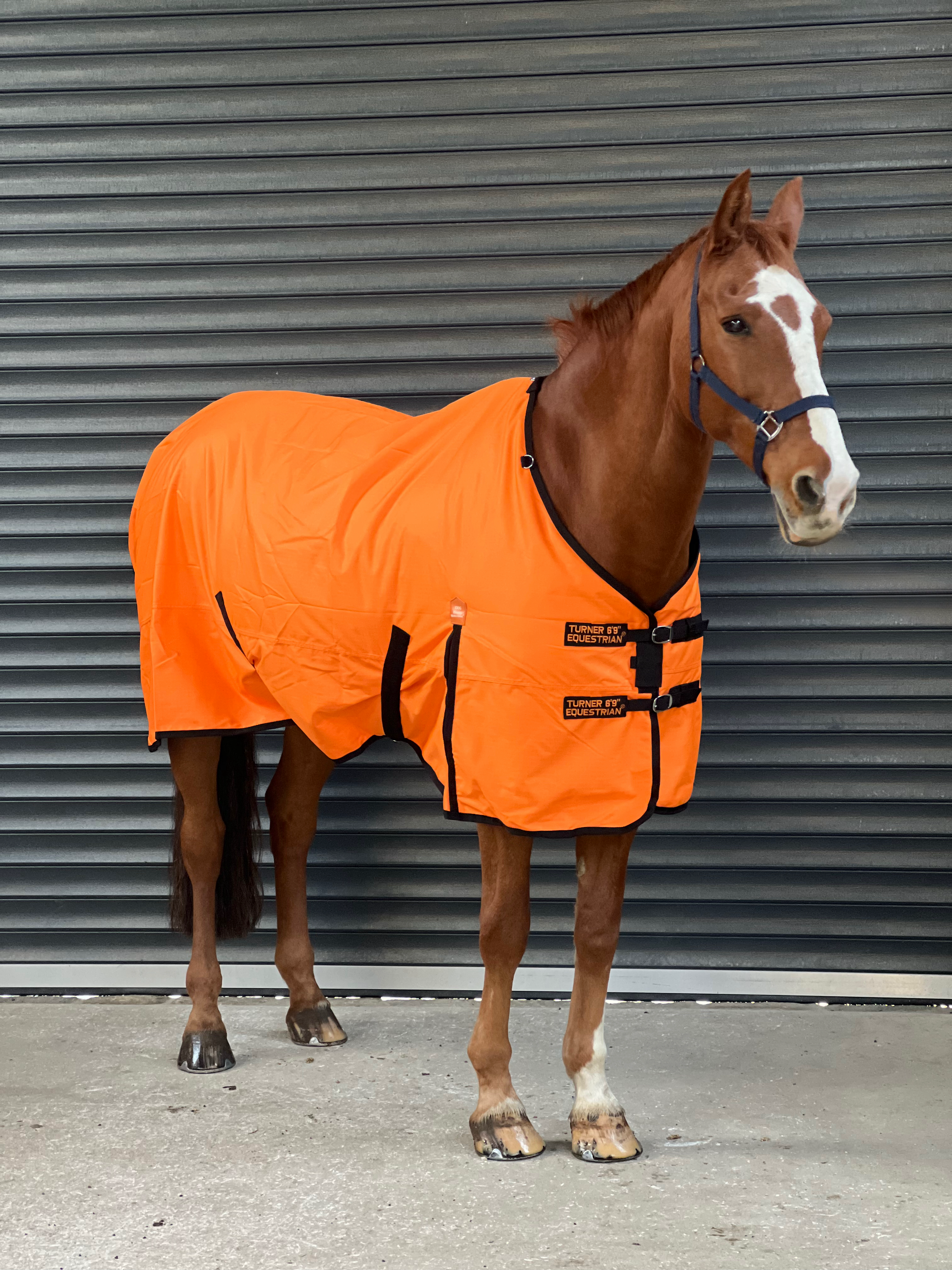 Lightweight 600 Denier Turnout Rug 100g Fill Orange