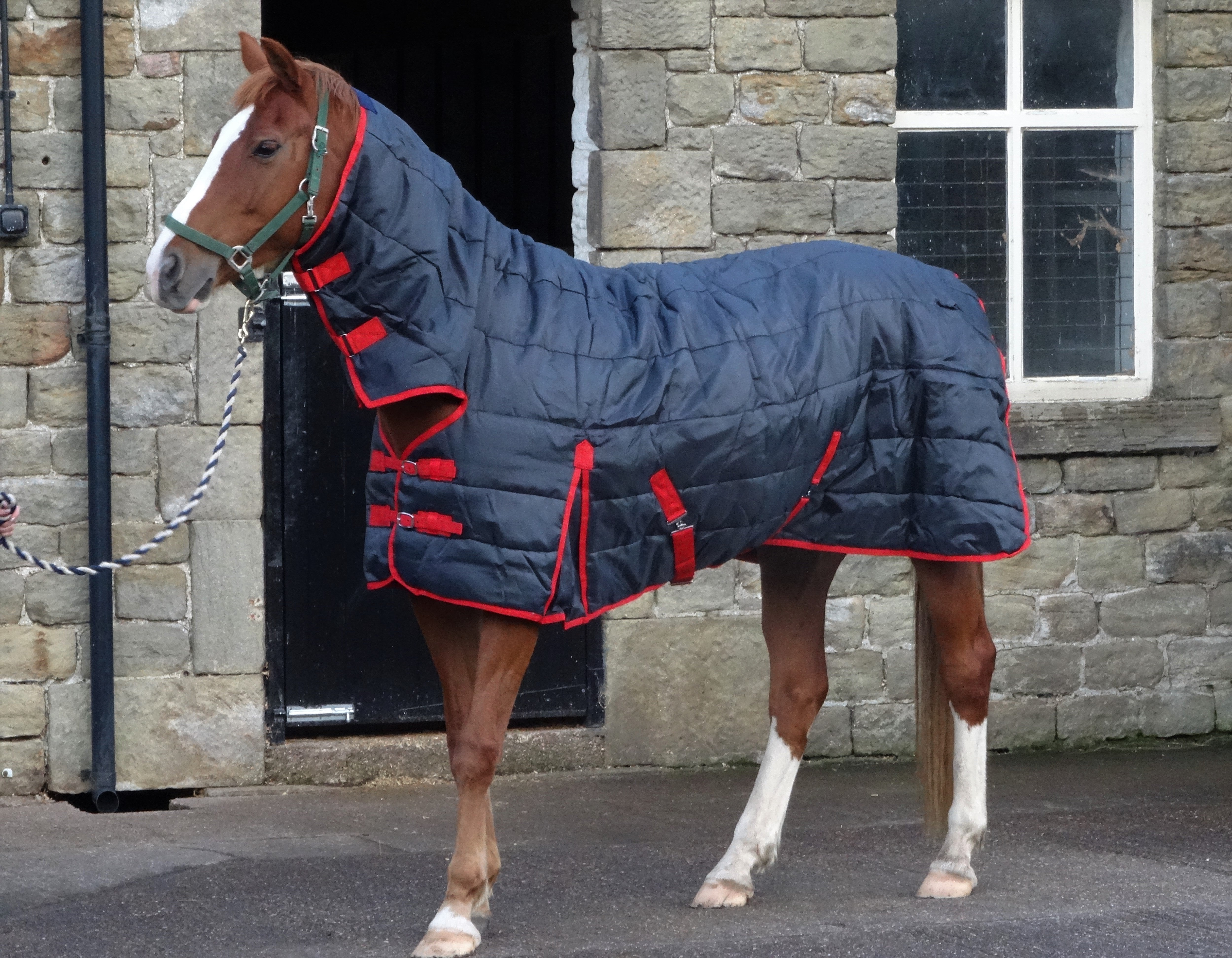 Heavyweight Stable Combo Neck Rug 300g Fill