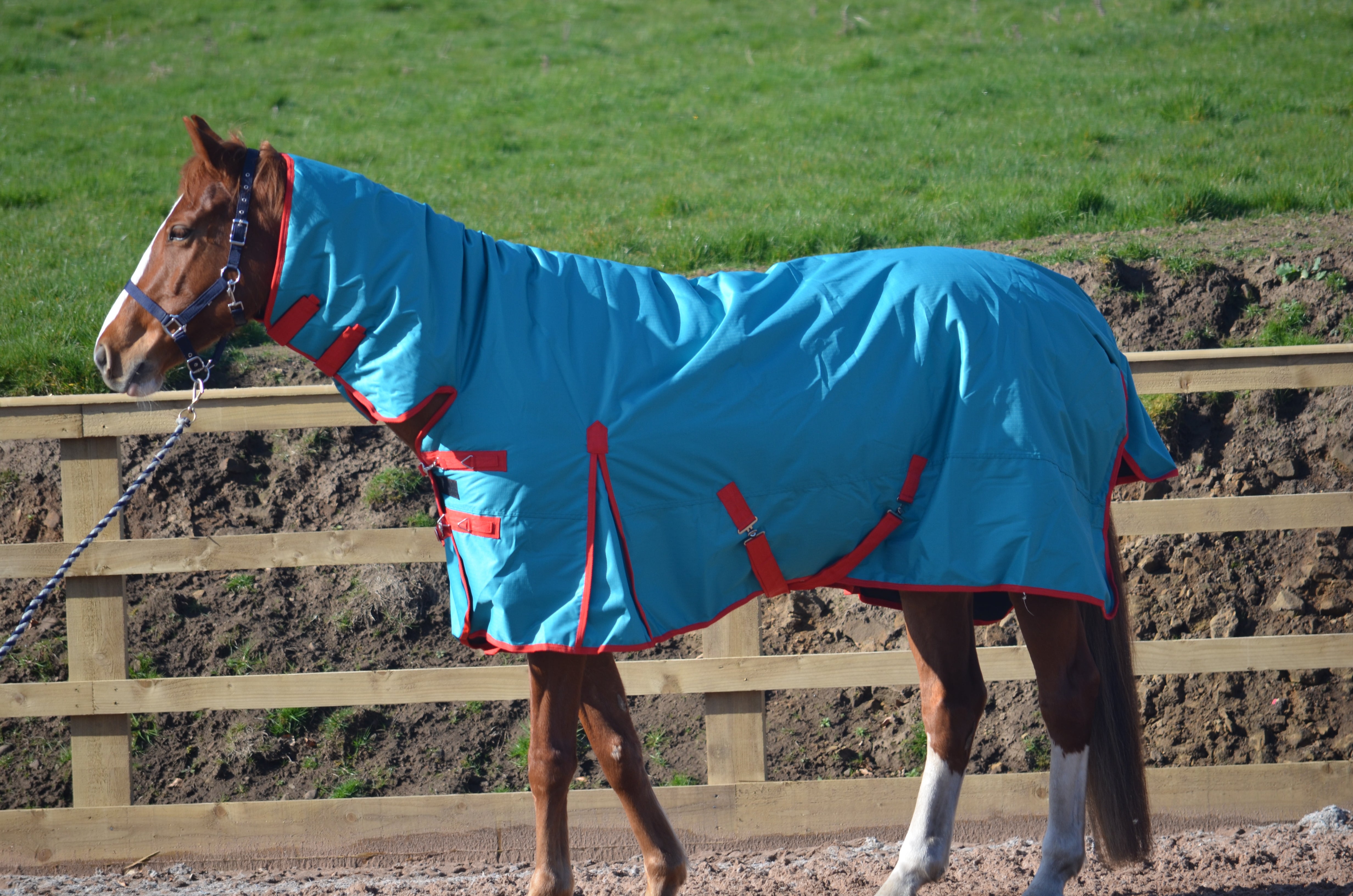 Heavyweight Combo 600d Denier Turnout Rug 350g Fill Teal