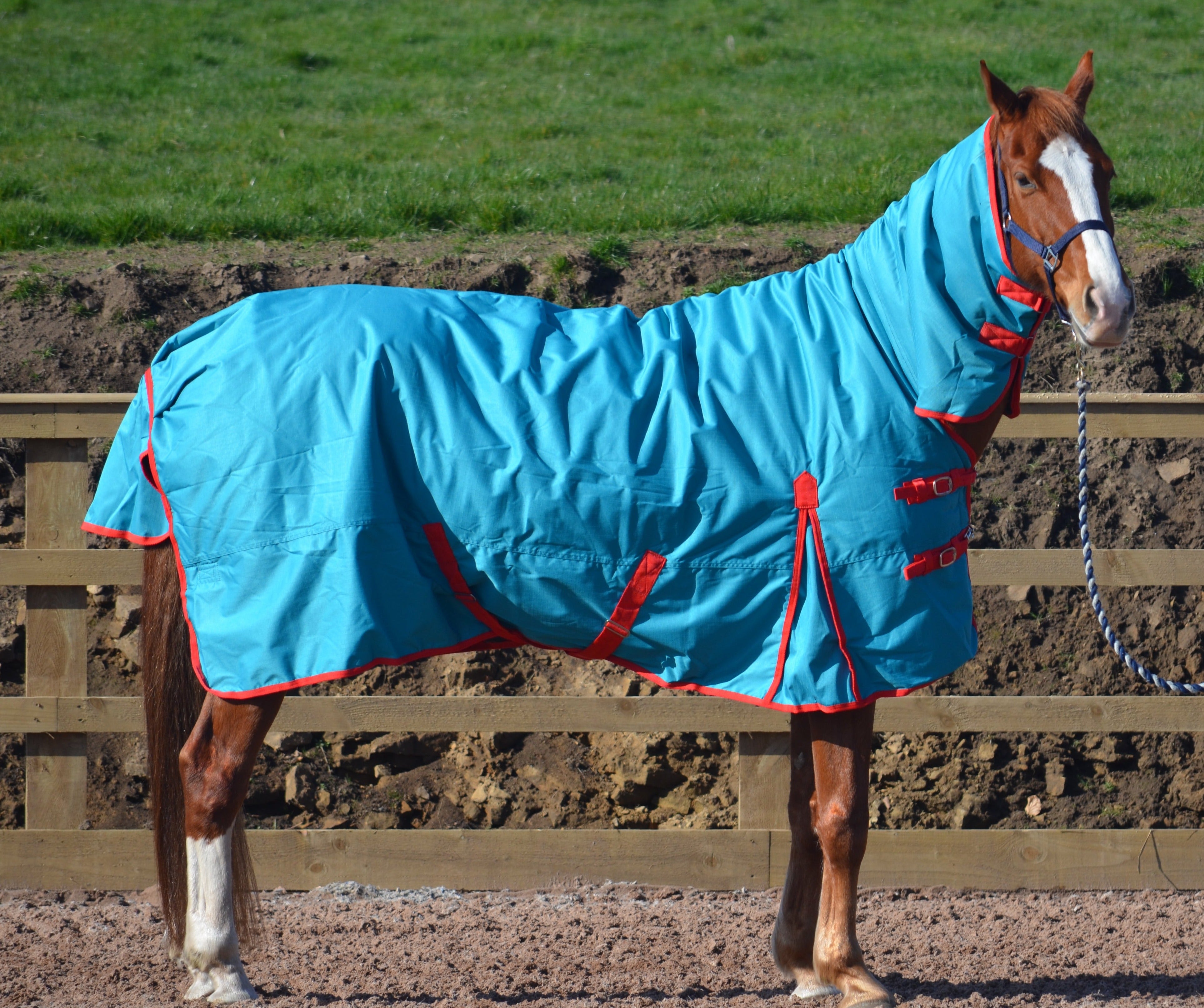 Turners Heavyweight Combo 350g Fill Waterproof Turnout Rug with Neck