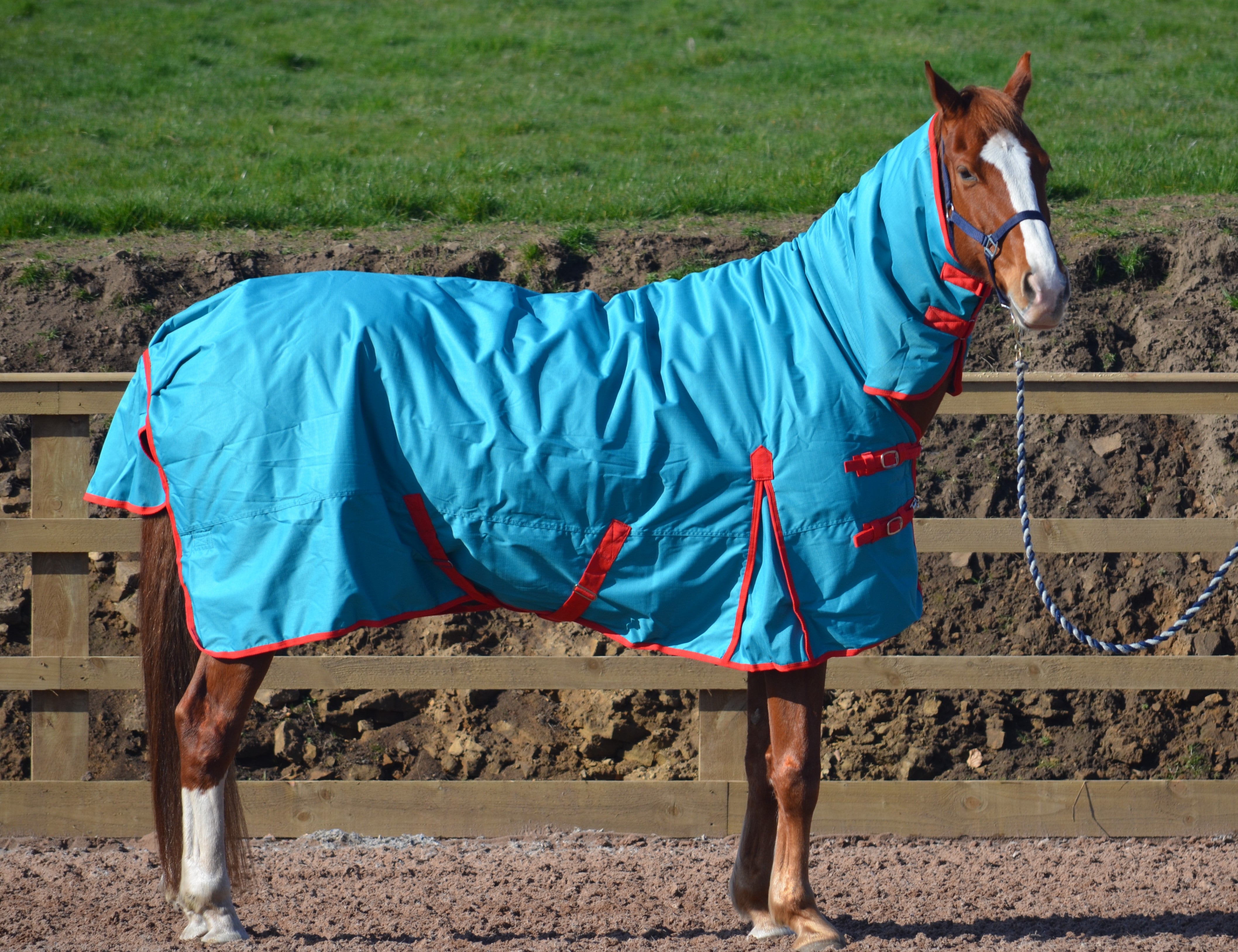 Heavyweight Combo 600d Denier Turnout Rug 350g Fill Teal