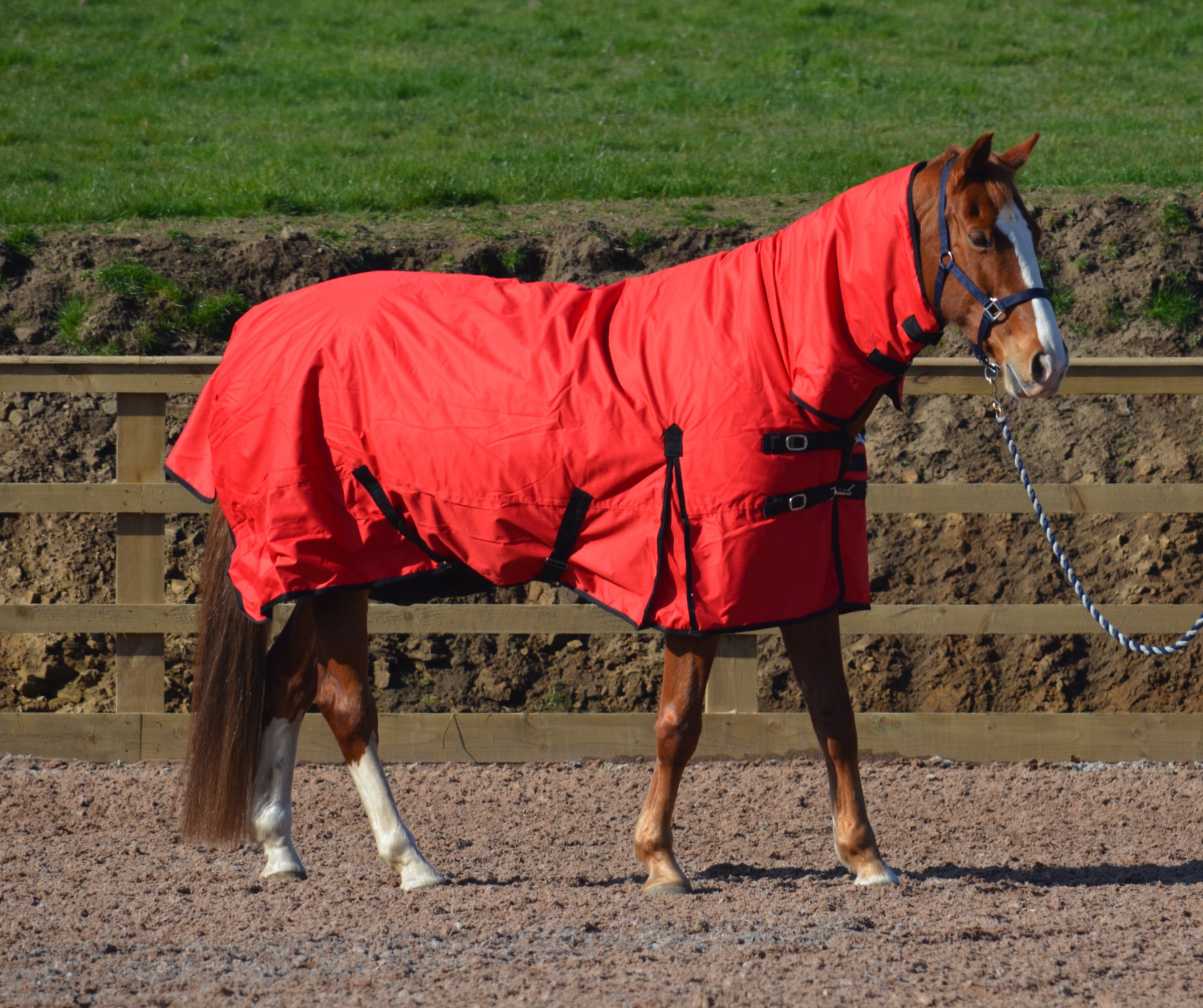 Turners Heavyweight Combo 350g Fill Waterproof Turnout Rug with Neck