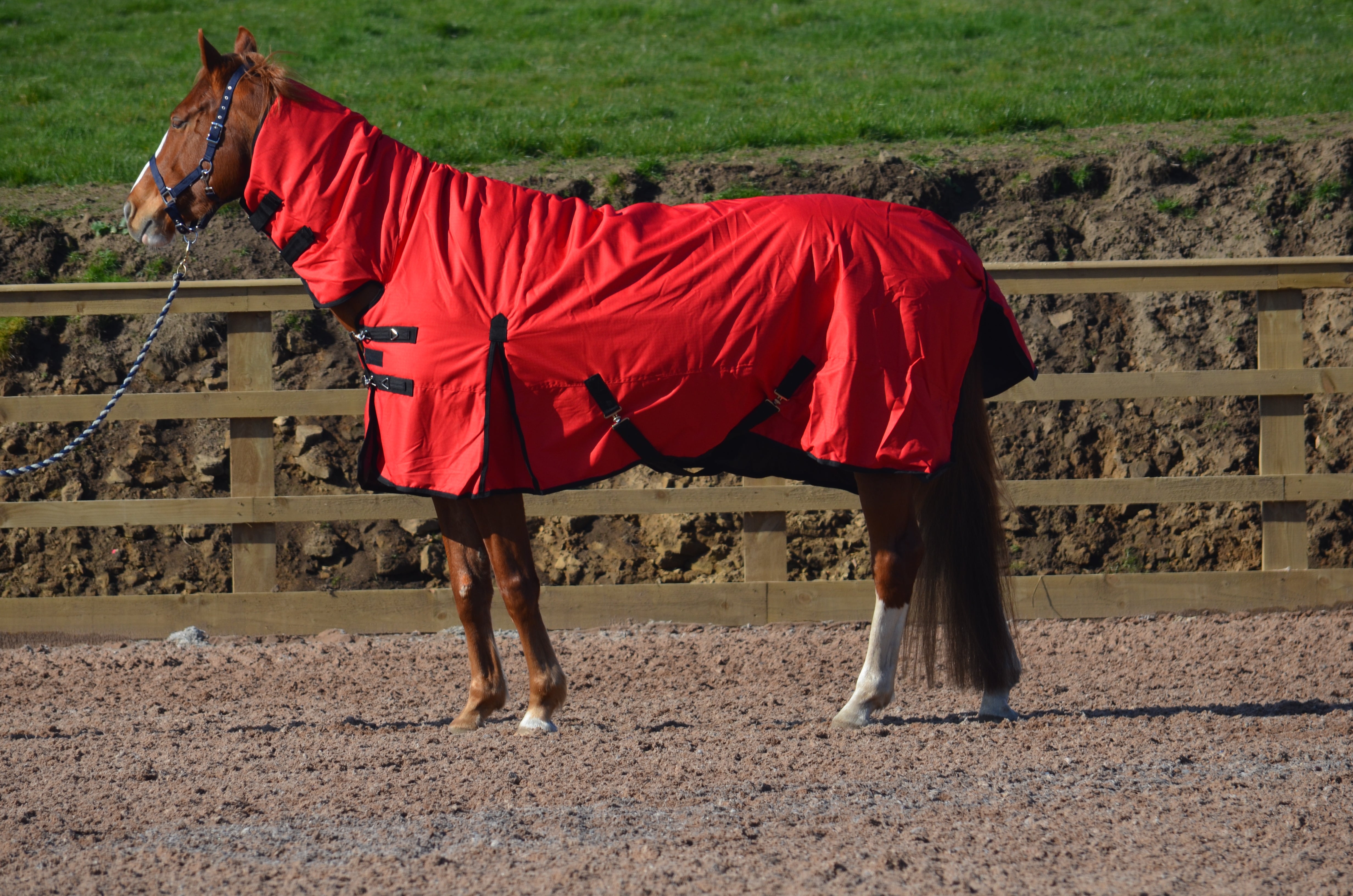 Heavyweight Combo 600d Denier Turnout Rug 350g Fill Red