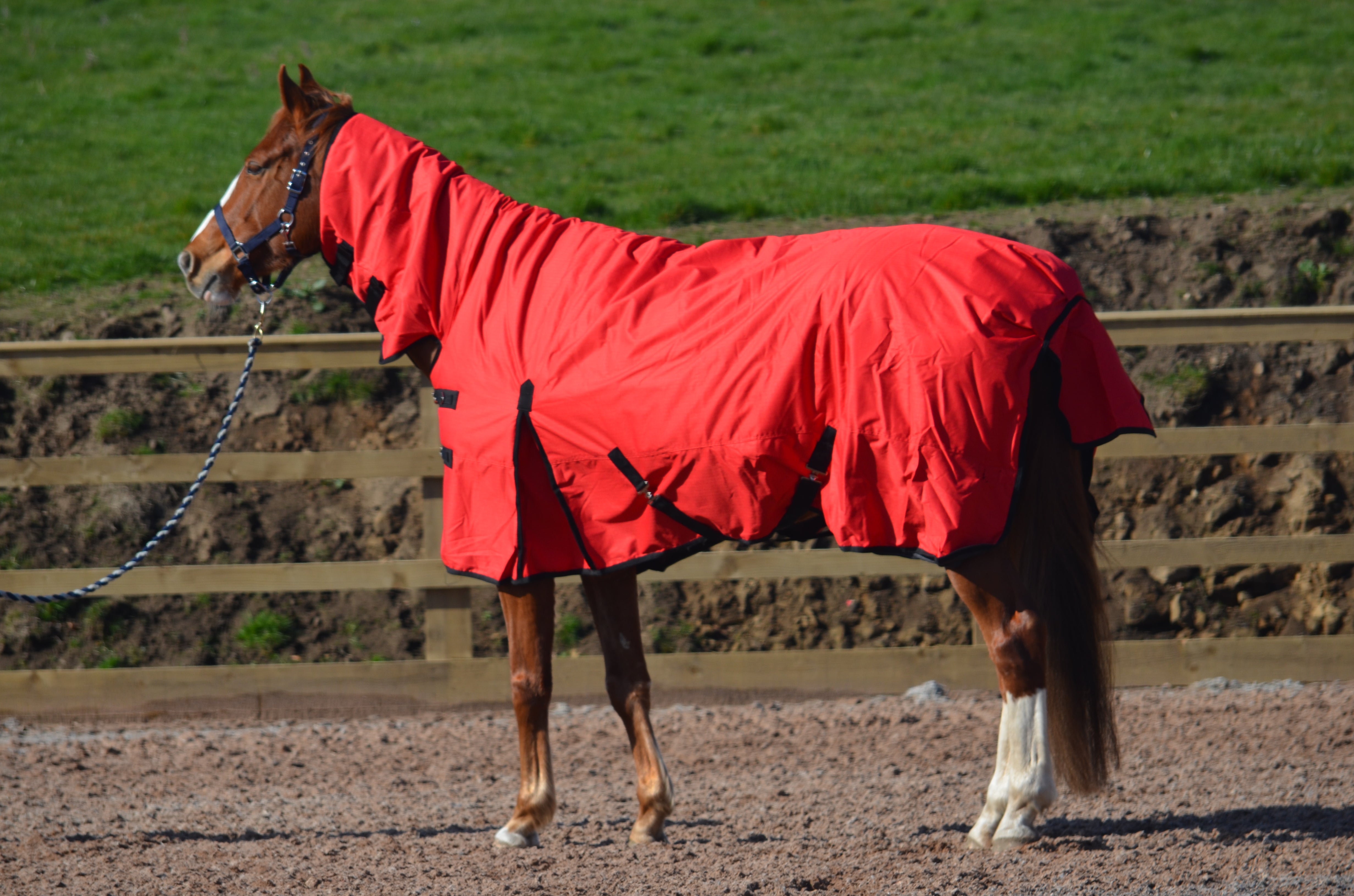 Heavyweight Combo 600d Denier Turnout Rug 350g Fill Red