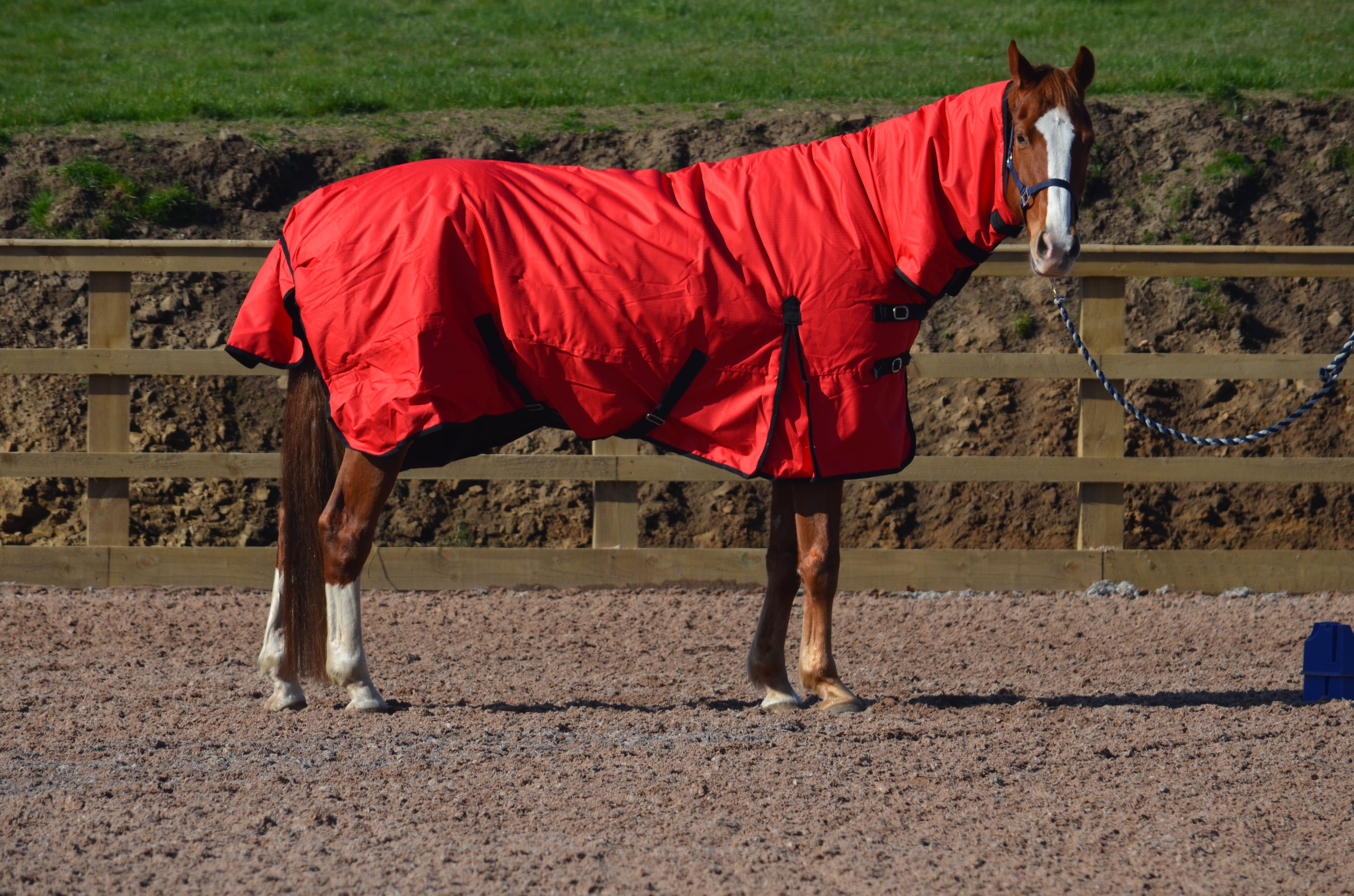 Heavyweight Combo 600d Denier Turnout Rug 350g Fill Red