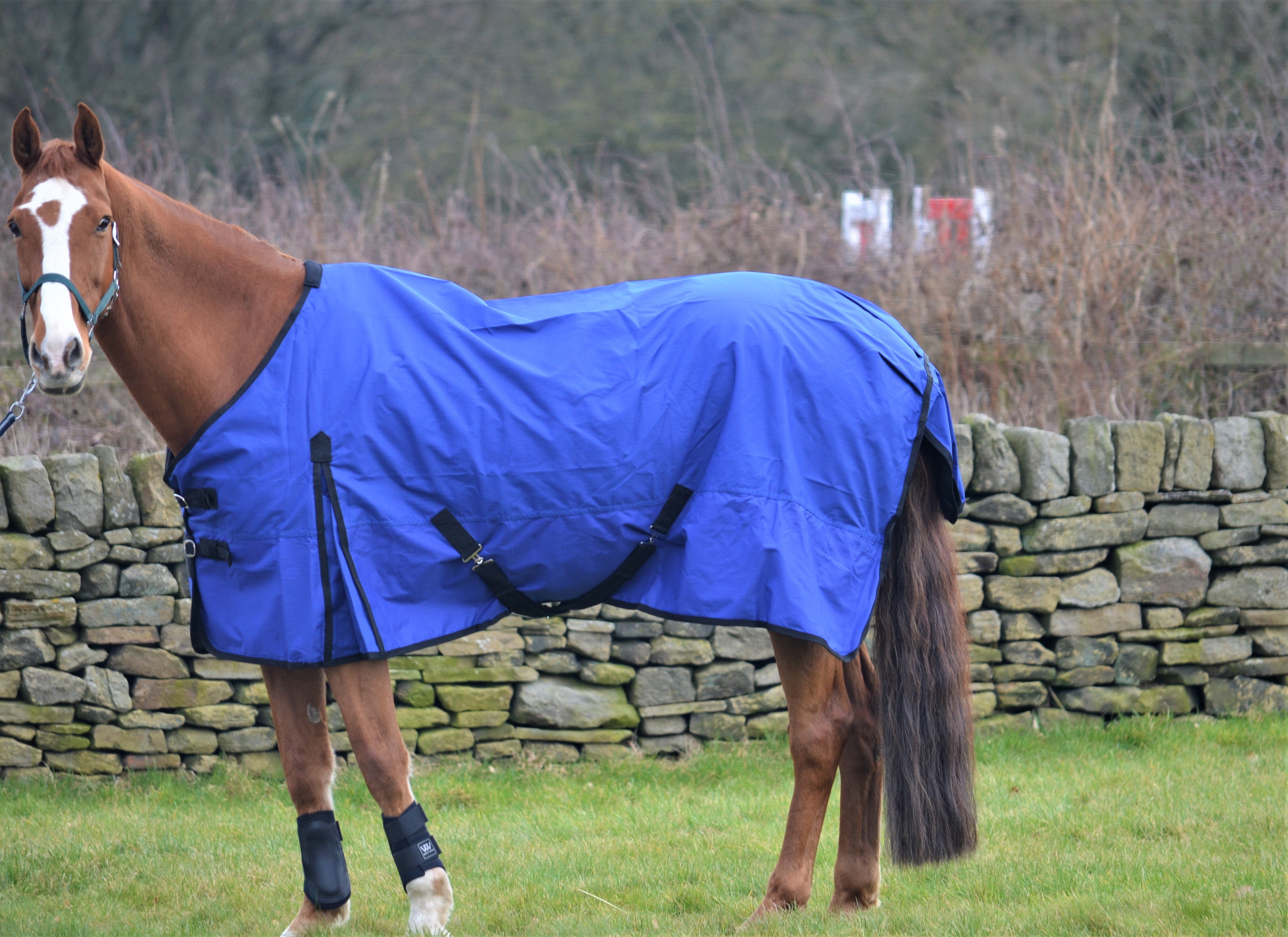 Lightweight Rainsheet 600 Denier Turnout Rug 0g Fill Royal Blue