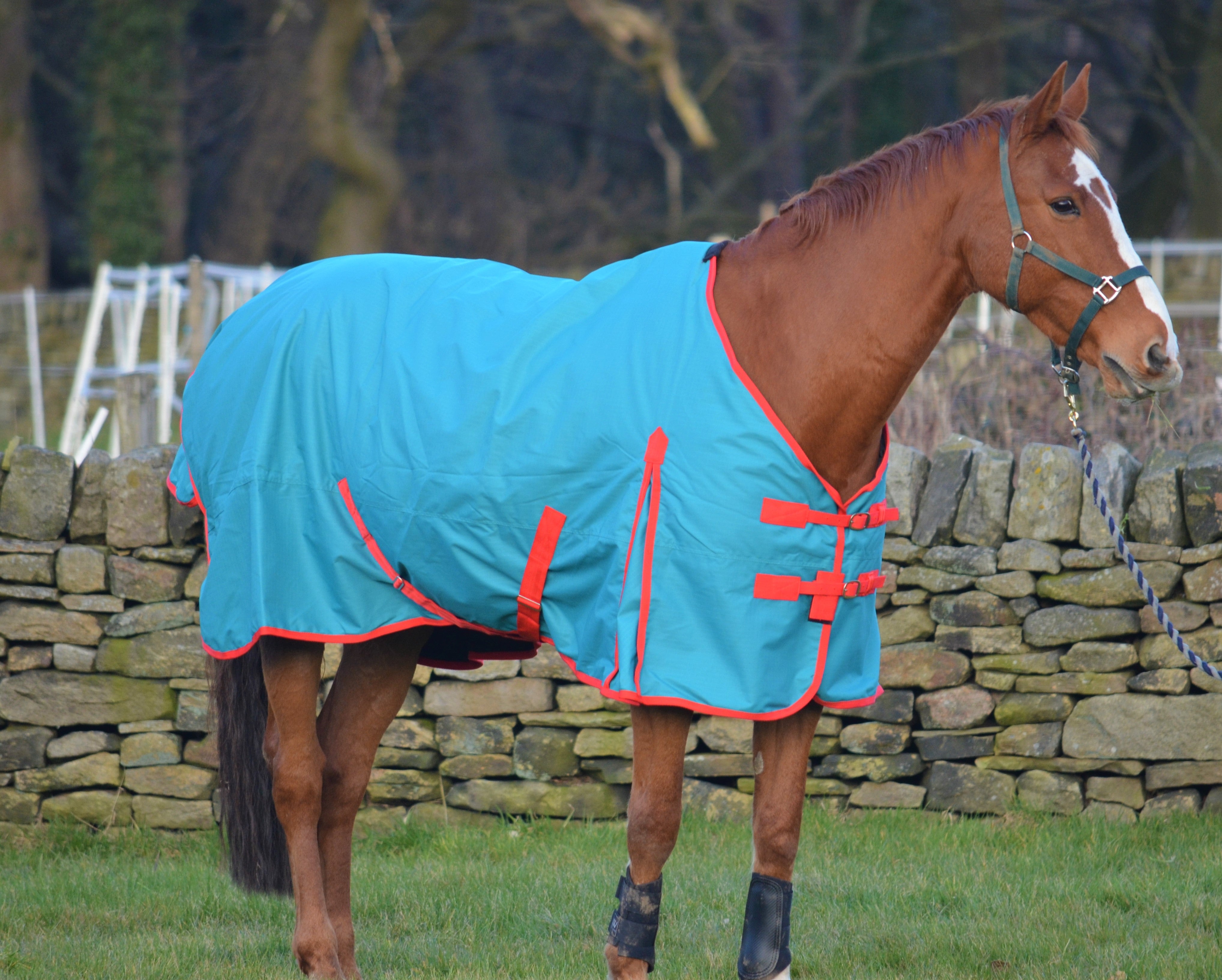 Teal Lightweight 100g Fill Turnout Rug