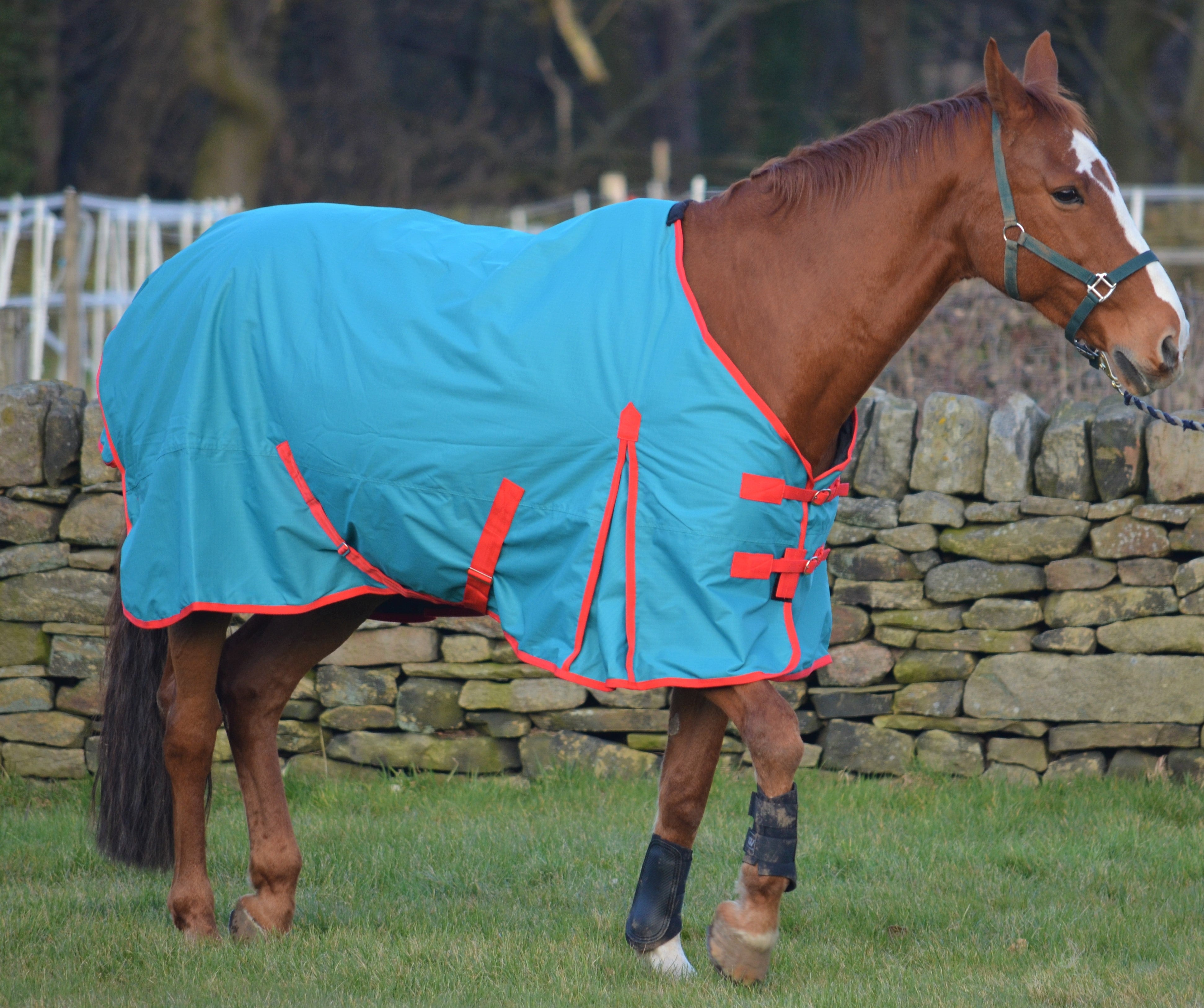 Teal Lightweight 100g Fill Turnout Rug