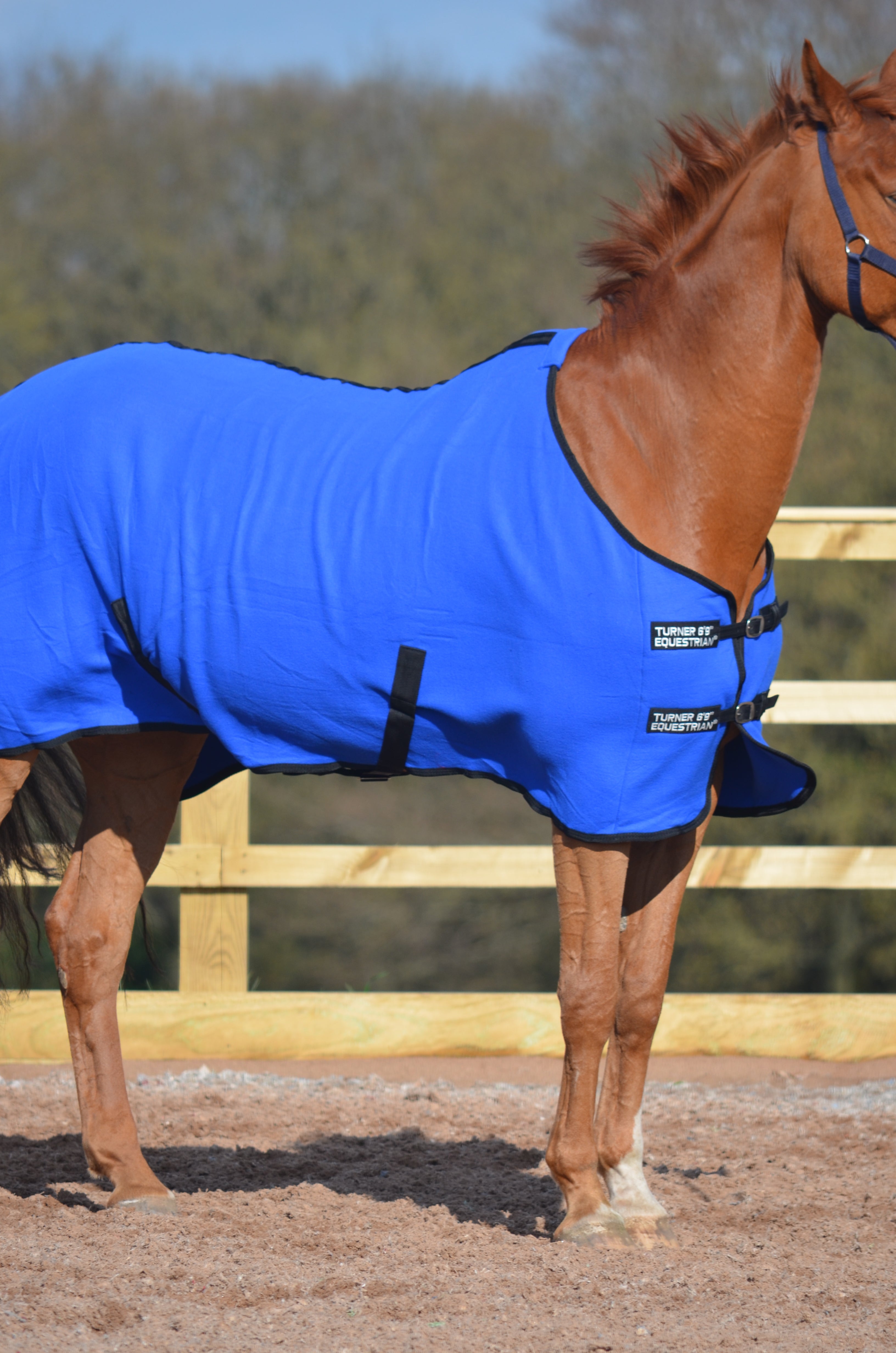 Lightweight Fleece Cooler Rug Royal Blue