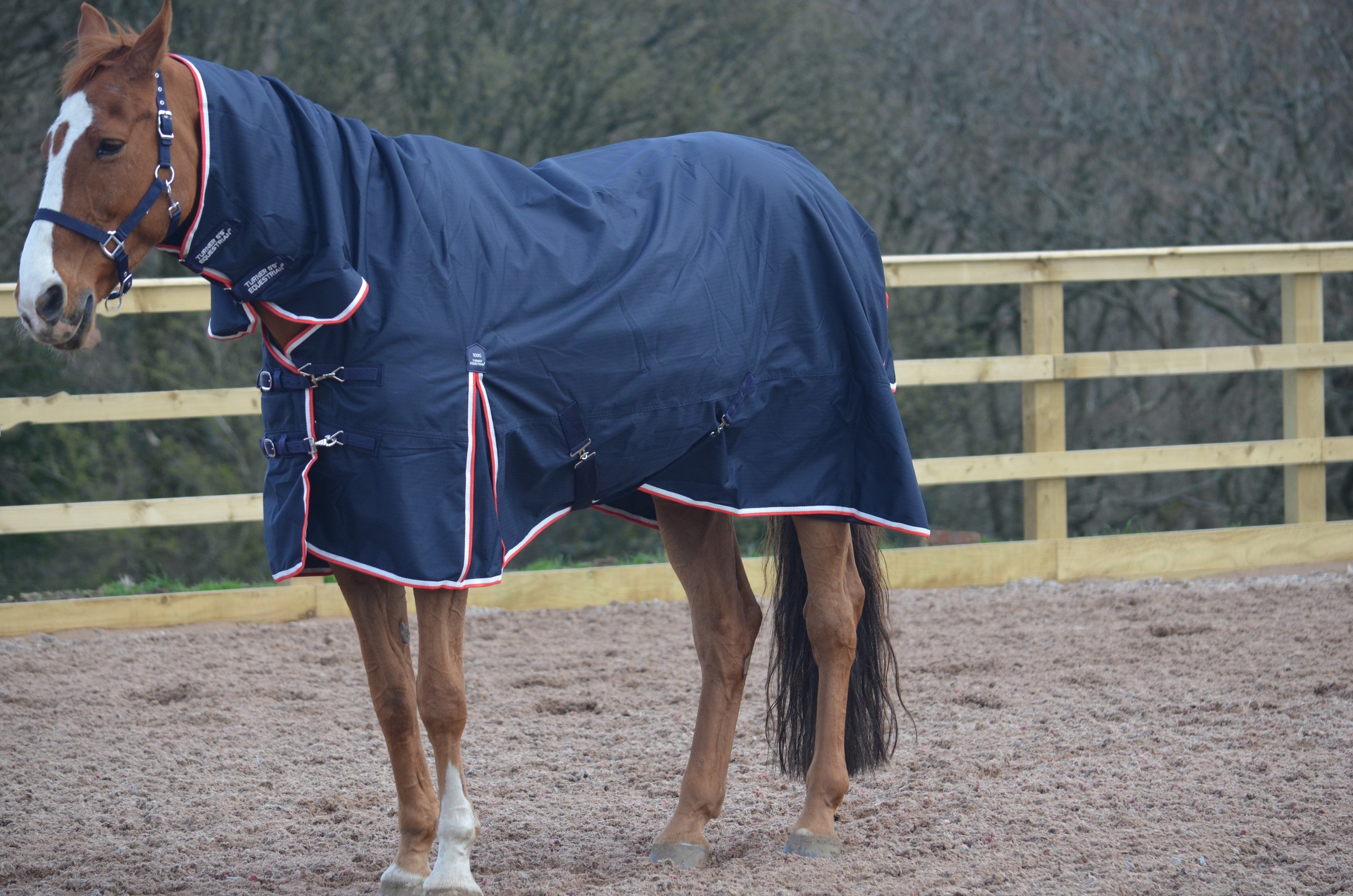 Lightweight Combo 600d Denier Turnout Rug 100g Fill Navy