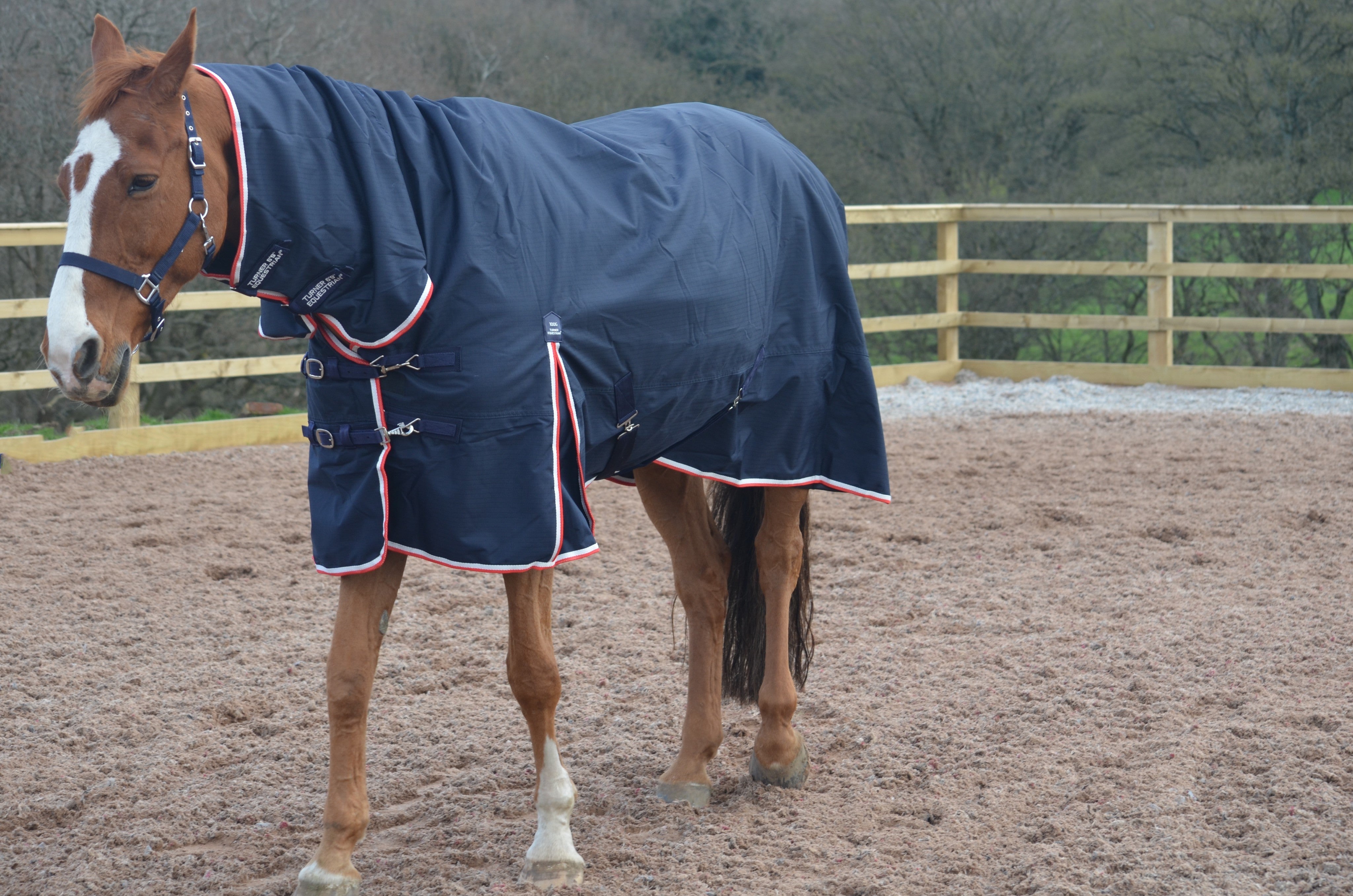 Lightweight Combo 600d Denier Turnout Rug 100g Fill Navy