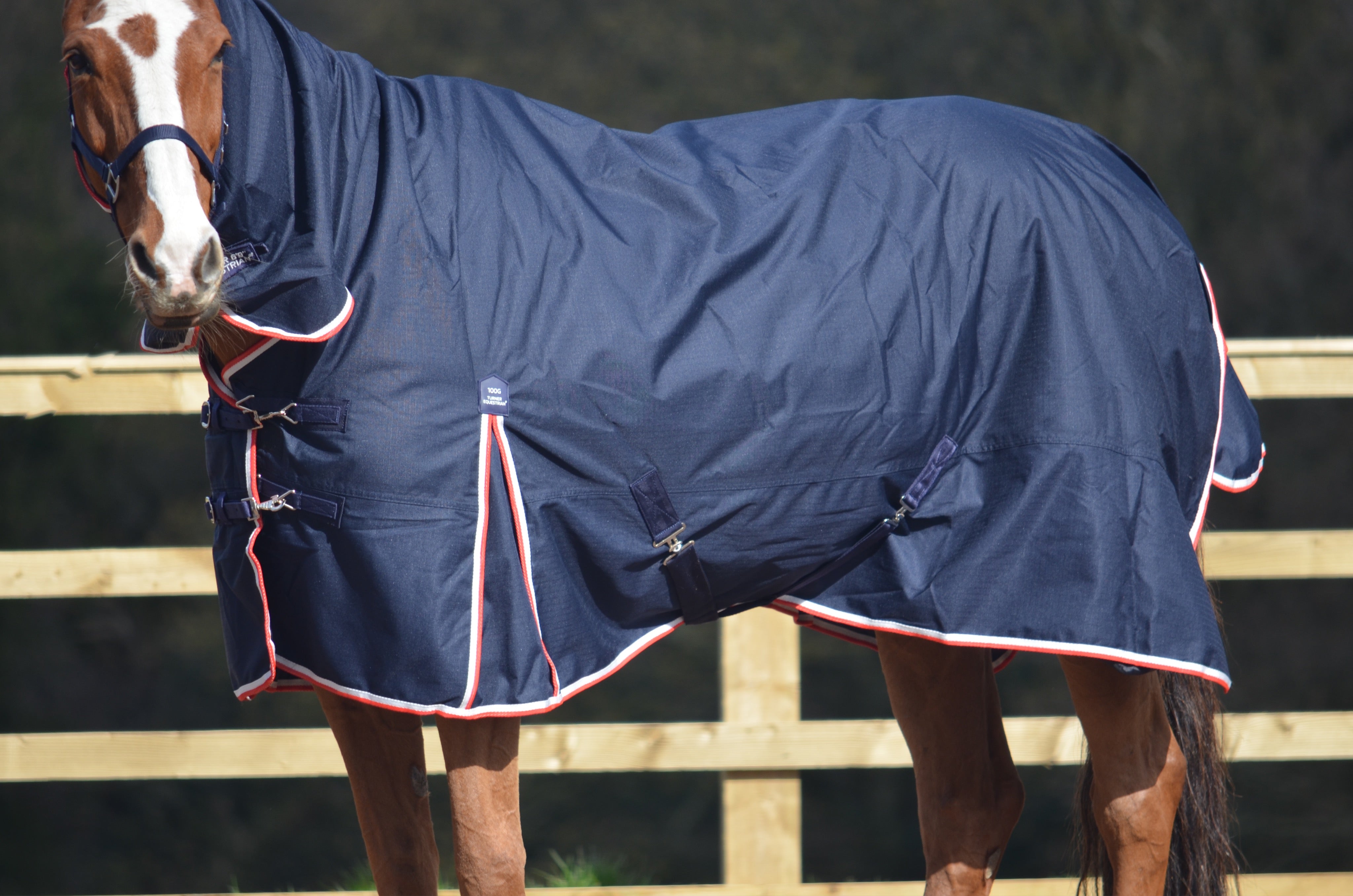 Lightweight Combo 600d Denier Turnout Rug 100g Fill Navy