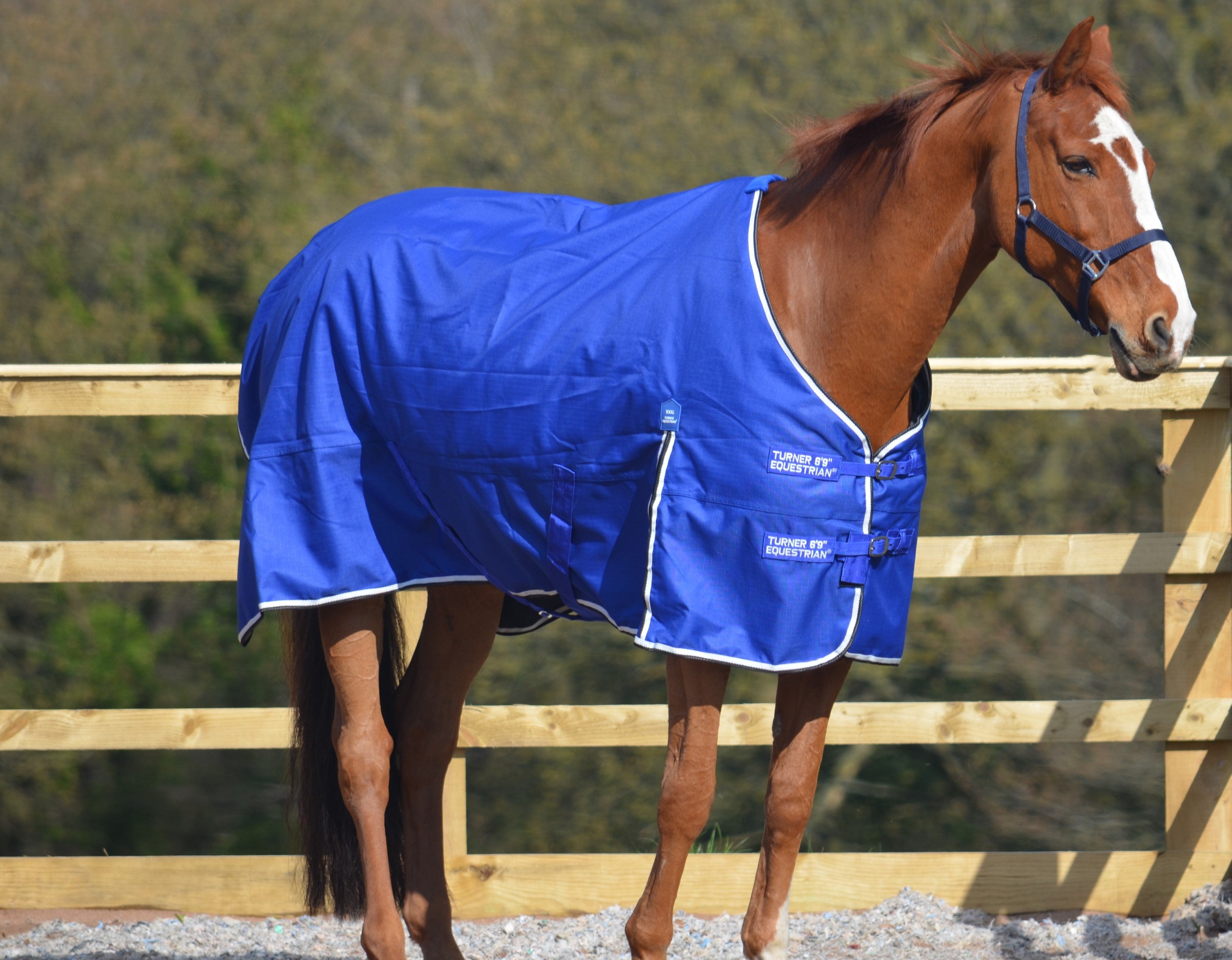 Lightweight 600d and 1200d Denier Turnout Rug 100g Fill Royal Blue