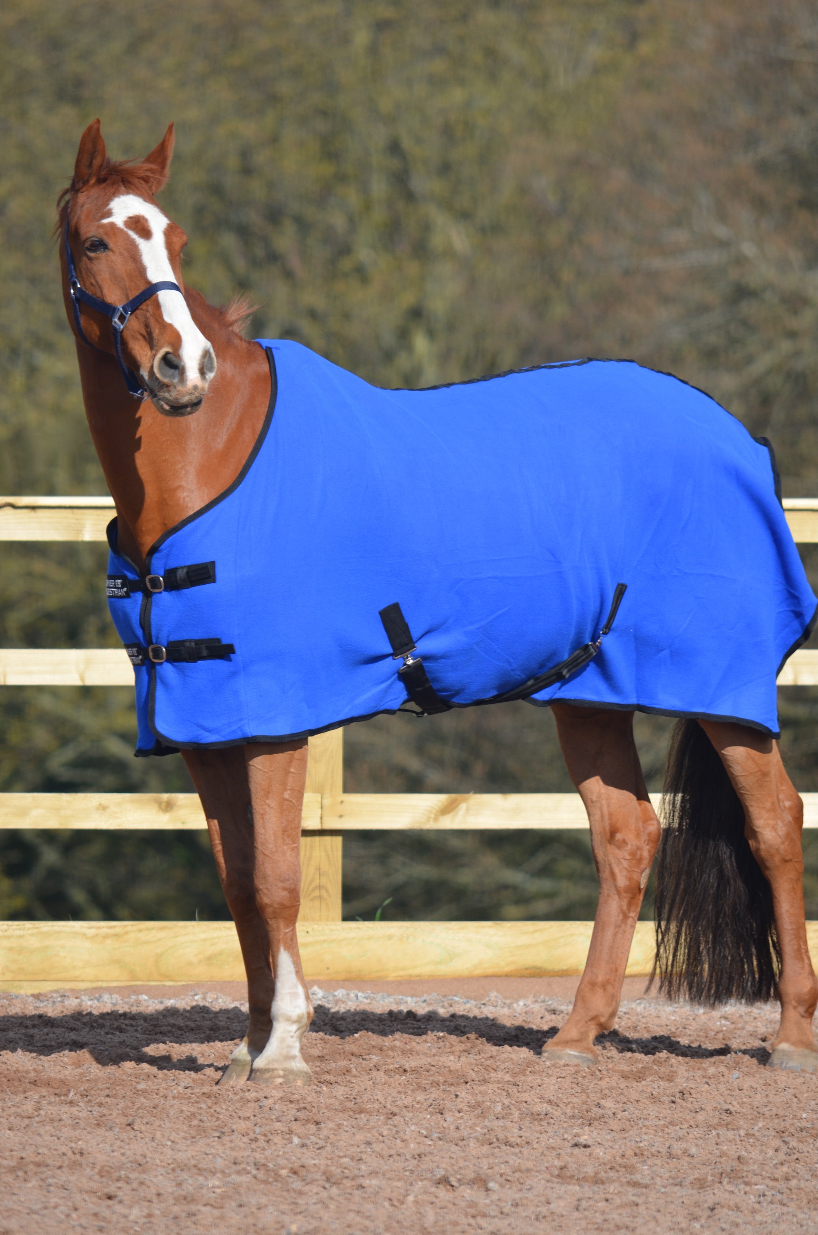 Lightweight Fleece Cooler Rug Royal Blue