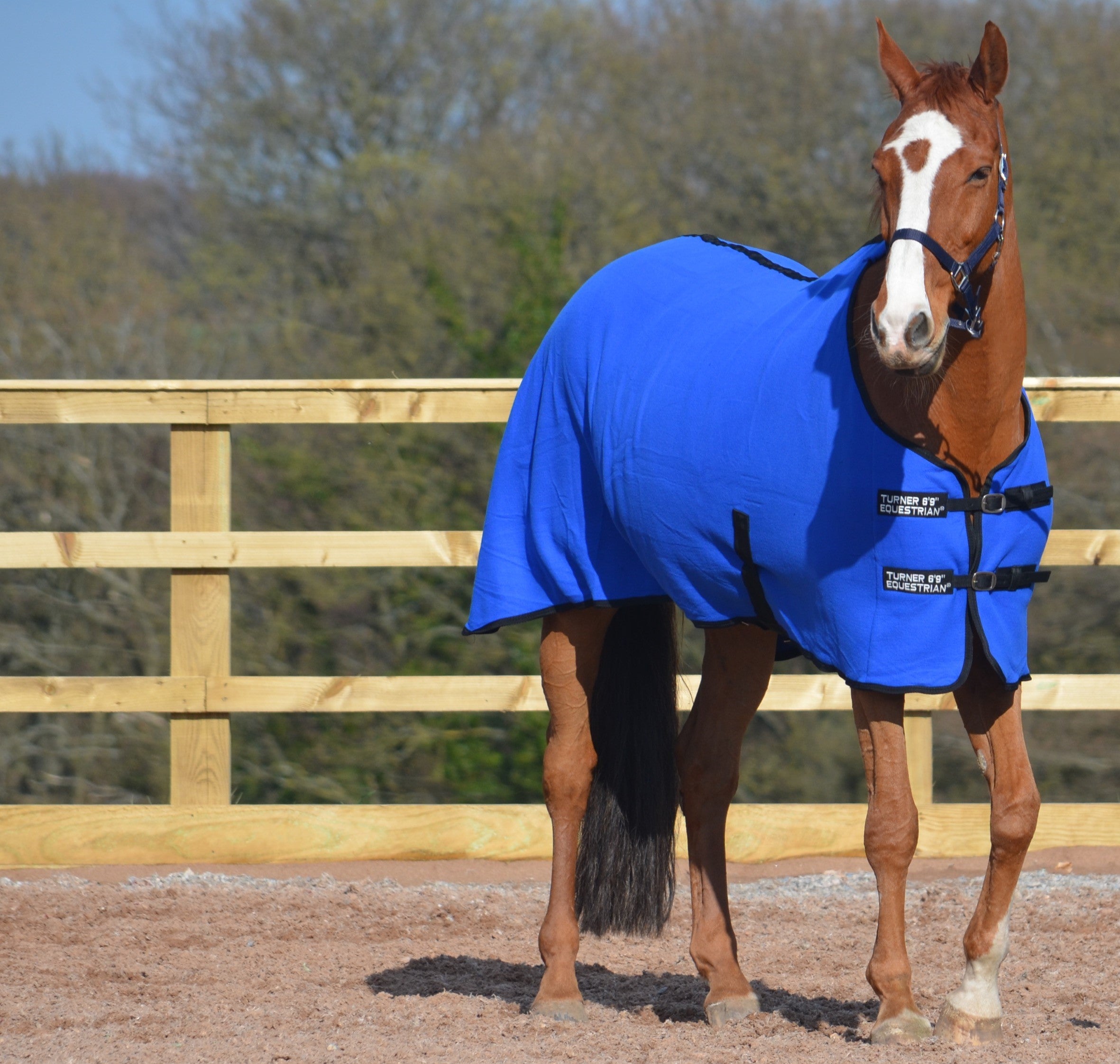 Lightweight Fleece Cooler Rug Royal Blue