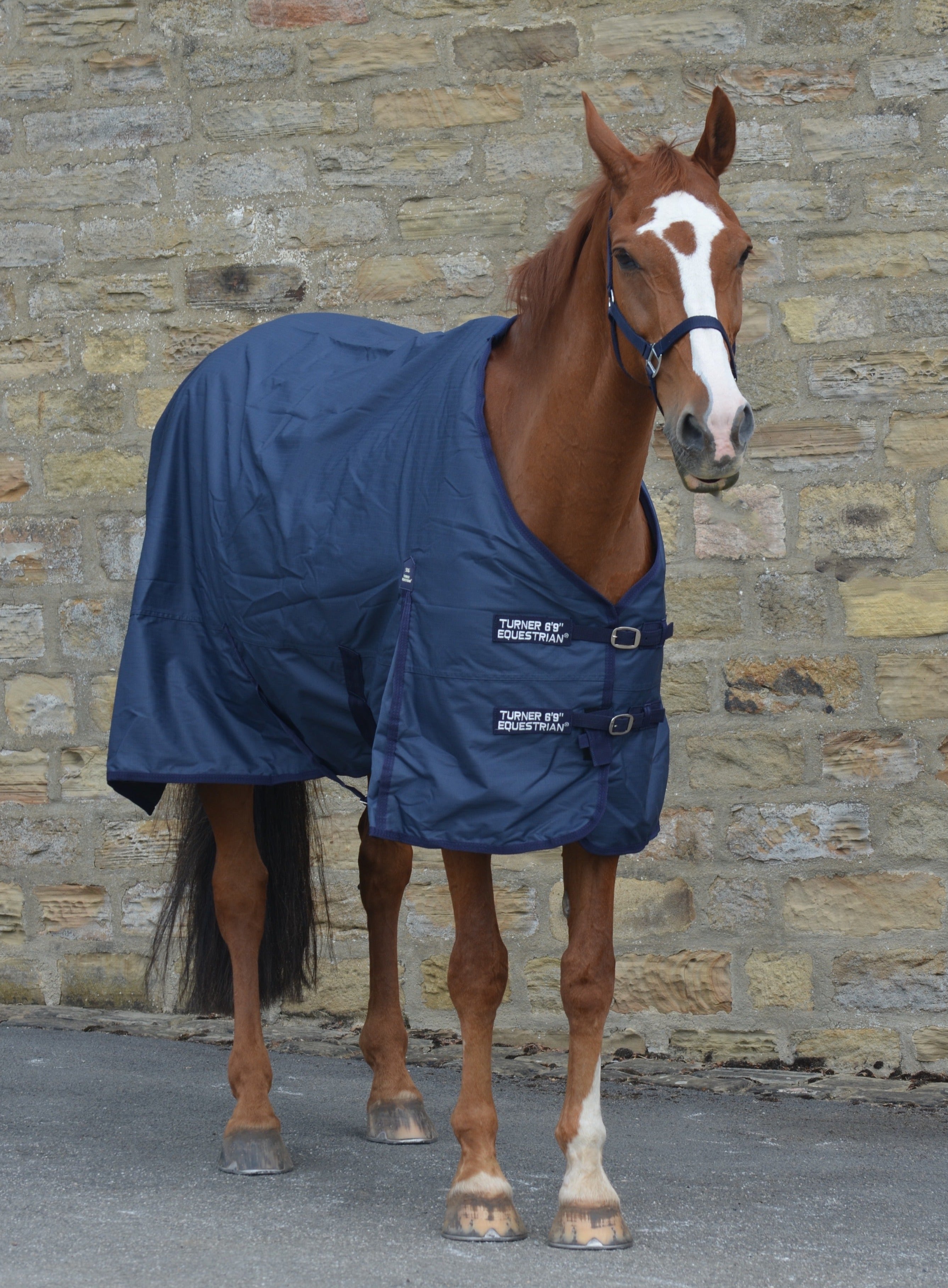 Lightweight 600d  Denier Turnout Rug 50g Fill Navy