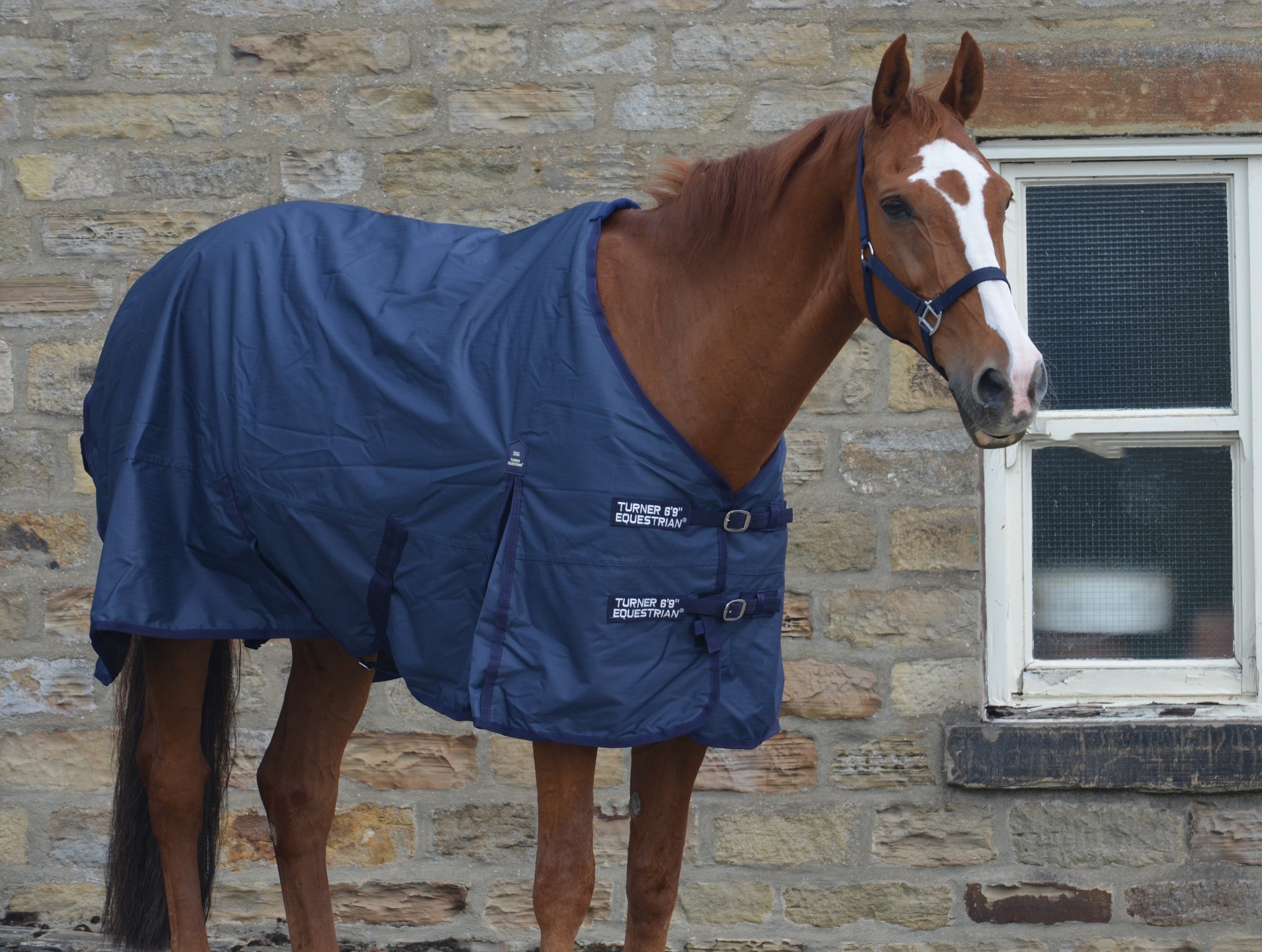 Lightweight 600d  Denier Turnout Rug 50g Fill Navy