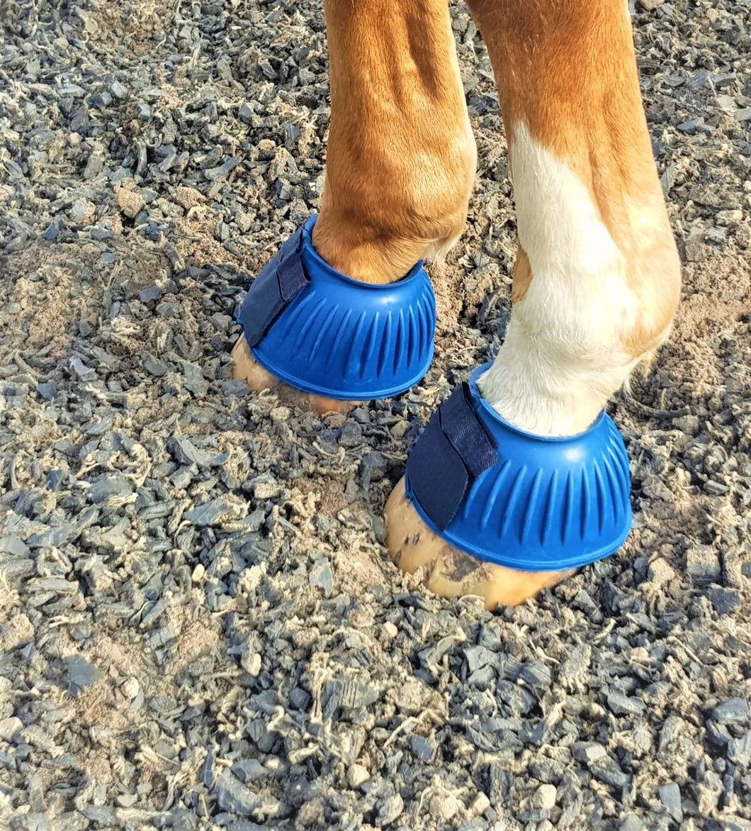 Bell boots on hot sale a horse