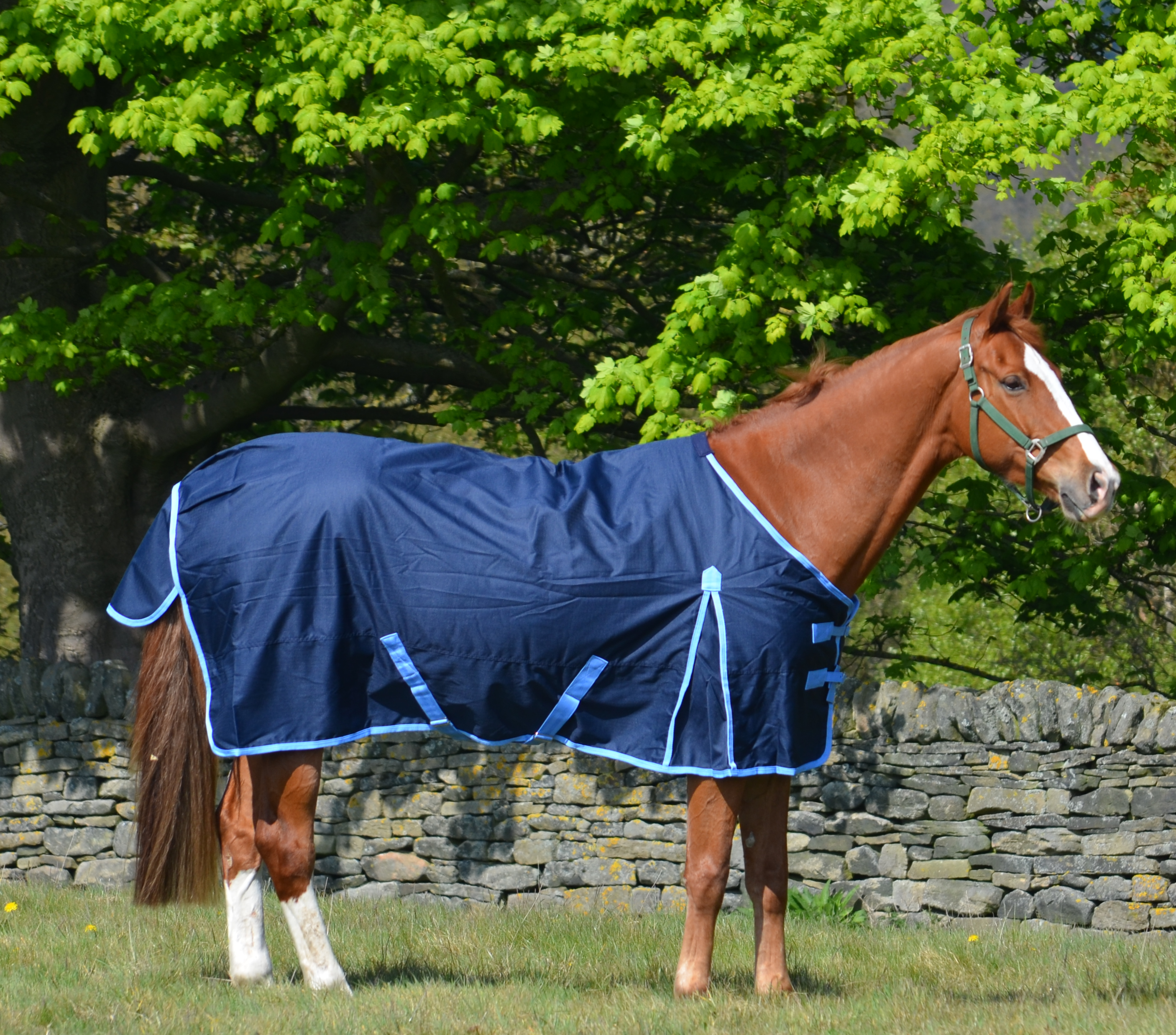 Medium-Weight 600 Denier Turnout Rug 200g Fill