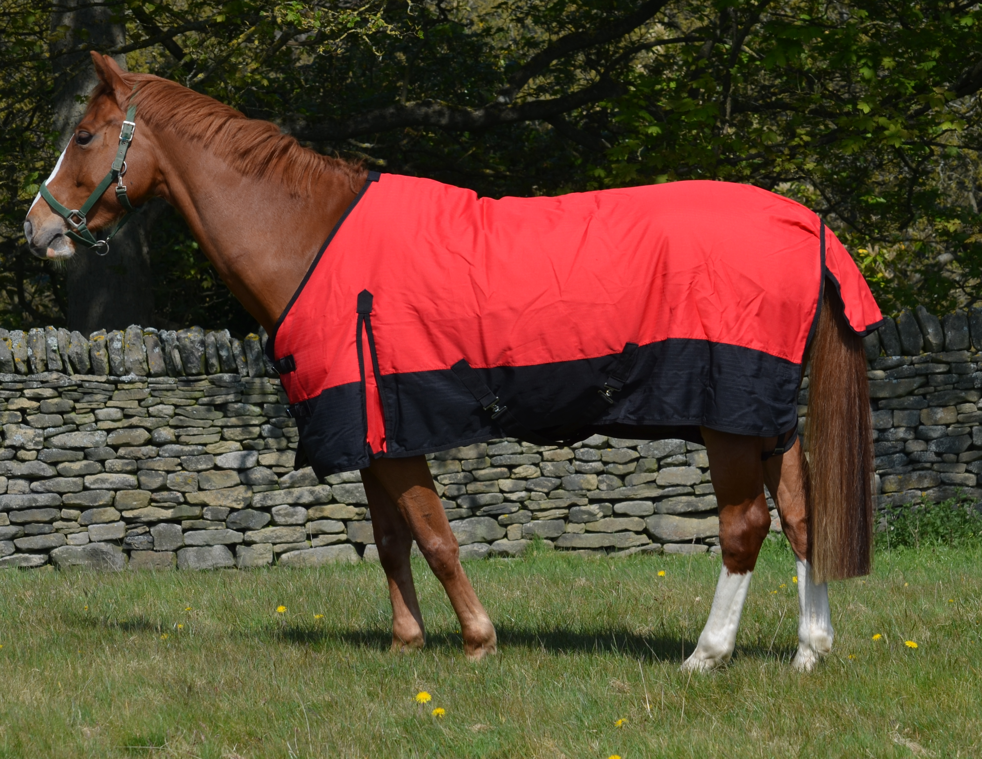 Lightweight Rainsheet 600 Denier Turnout Rug 0g Fill