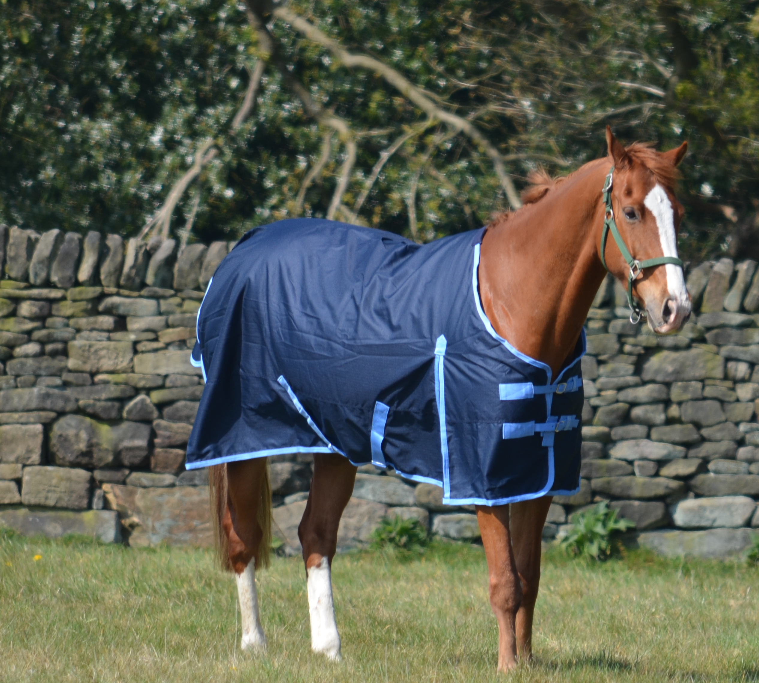 Medium-Weight 600 Denier Turnout Rug 200g Fill