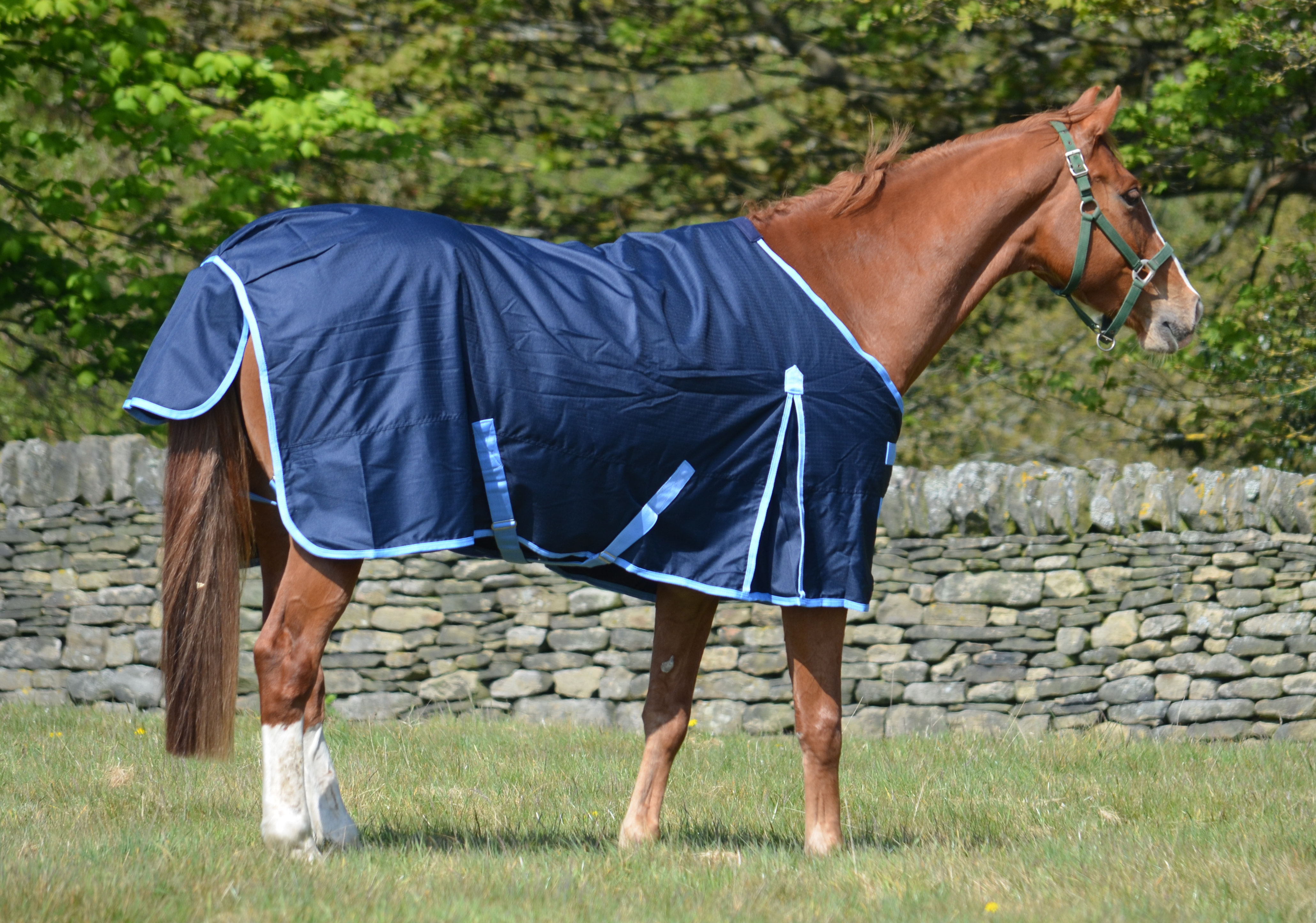 Medium-Weight 600 Denier Turnout Rug 200g Fill