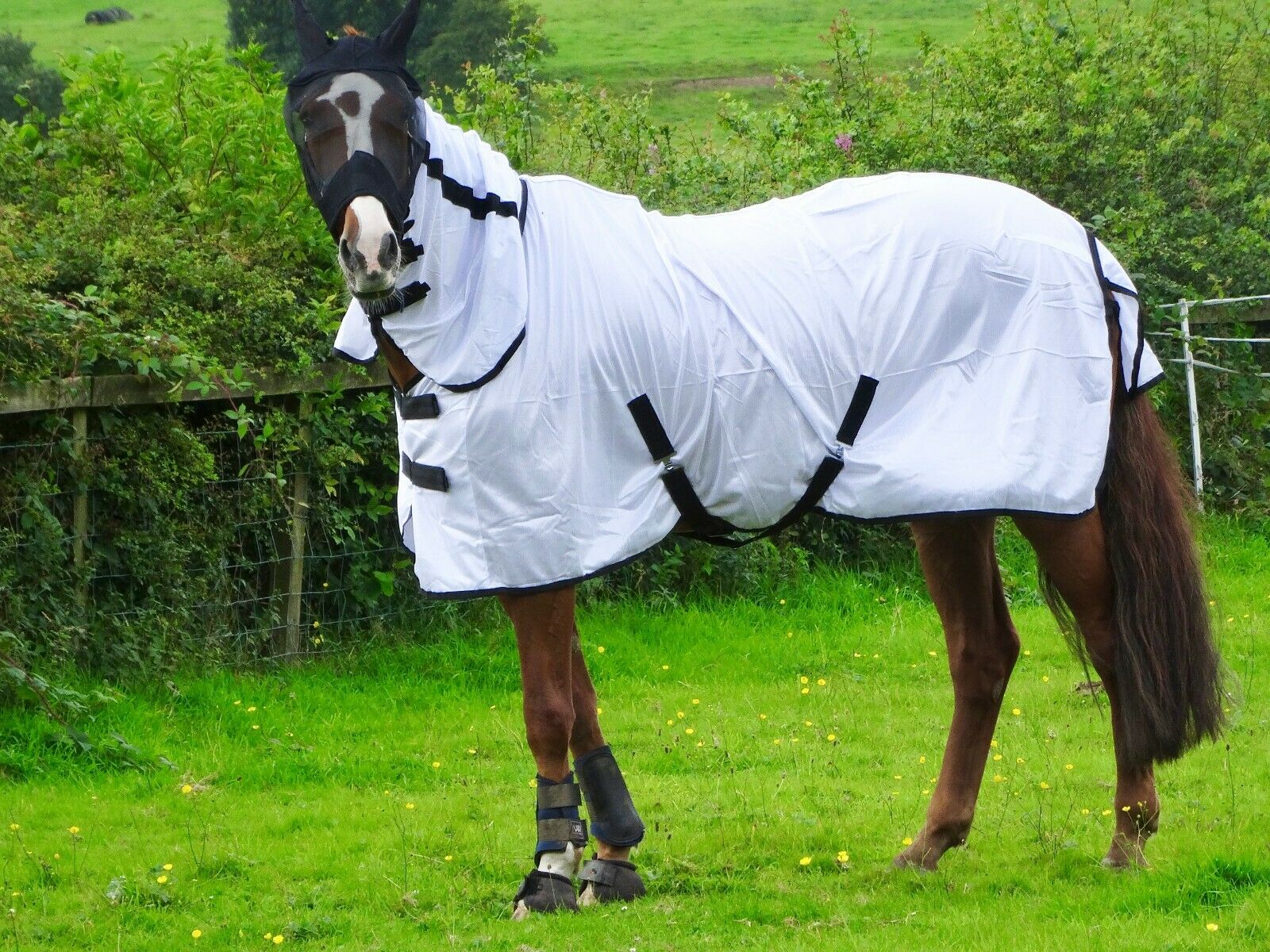 Cool White Fly Rug for Horse / Pony - Lightweight Full Neck Combo