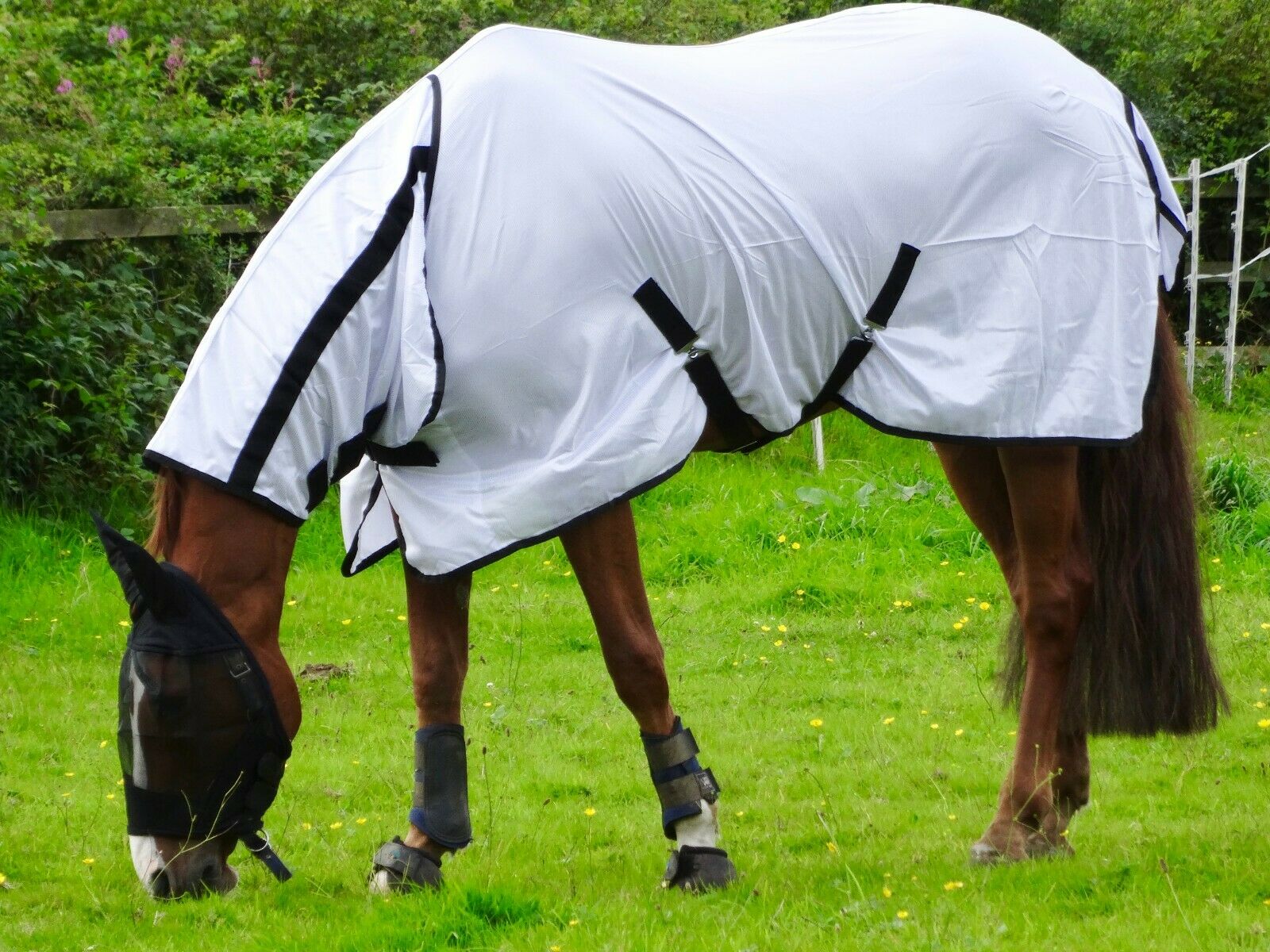 Cool White Fly Rug for Horse / Pony - Lightweight Full Neck Combo