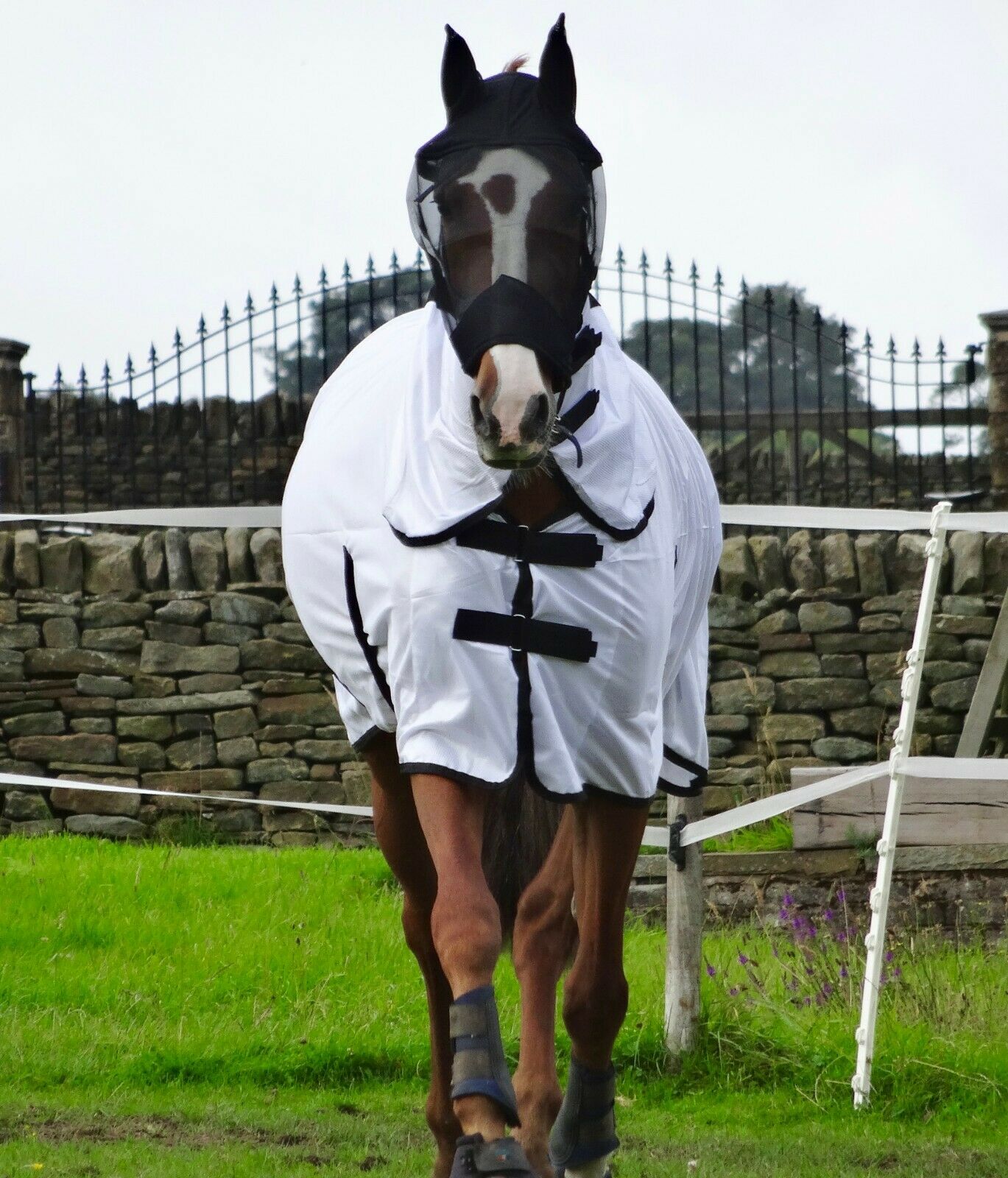 Cool White Fly Rug for Horse / Pony - Lightweight Full Neck Combo