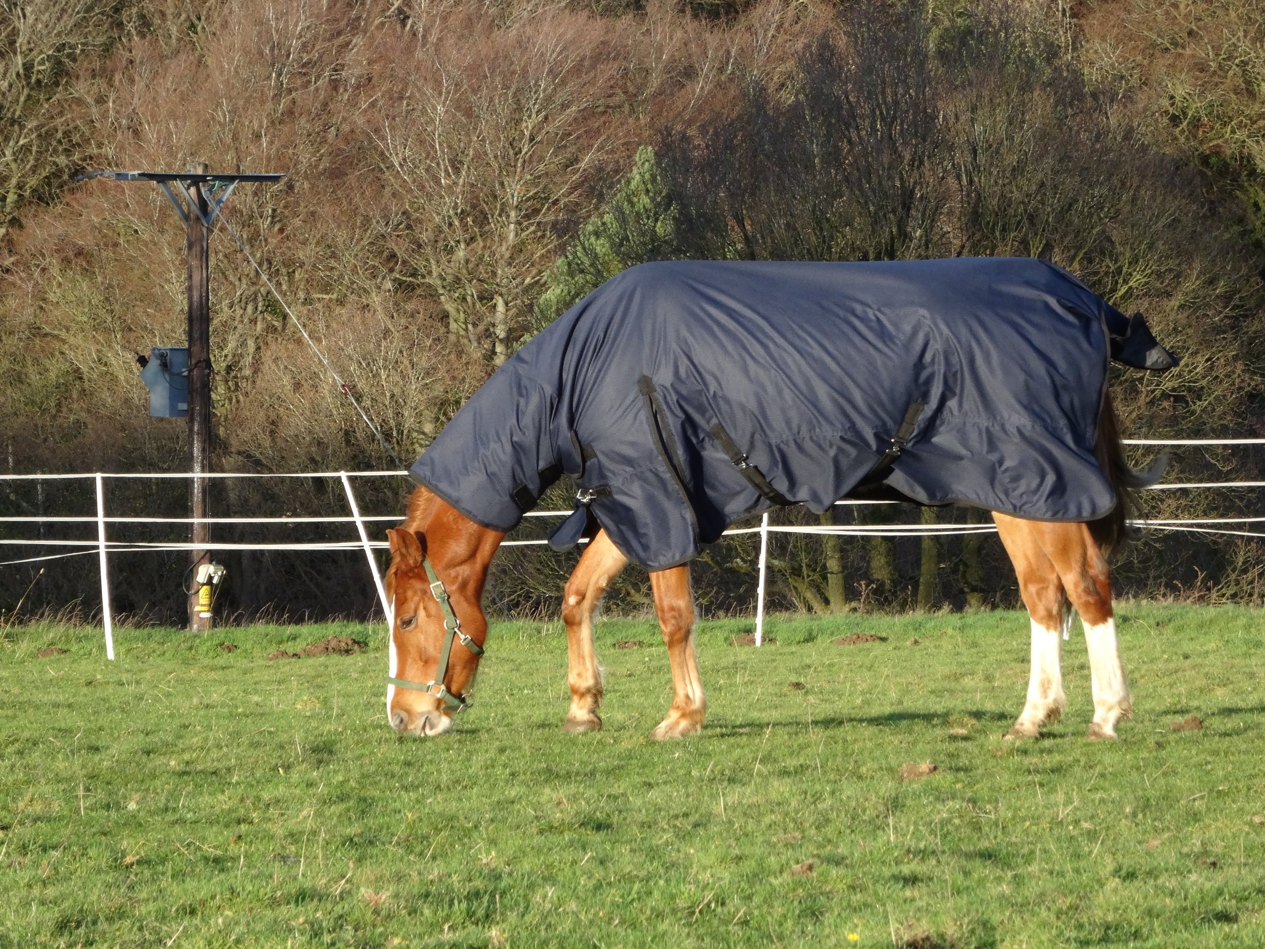 Turners Heavyweight Combo 350g Fill Waterproof Turnout Rug with Neck