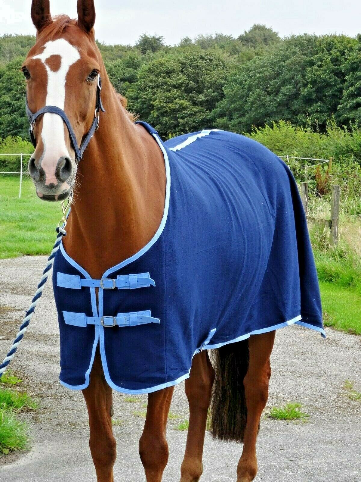 Navy Fleece Show Rug