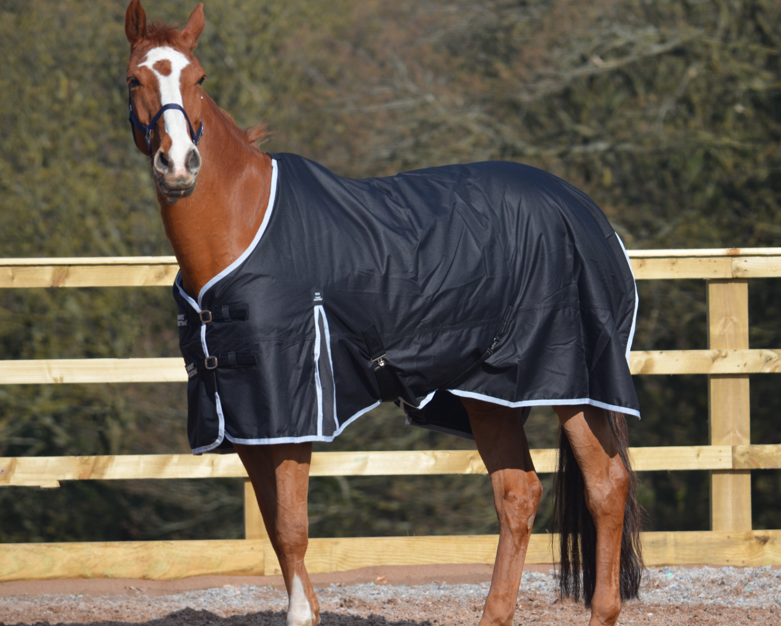 Lightweight 600d and 1200d Denier Turnout Rug 100g Fill Black