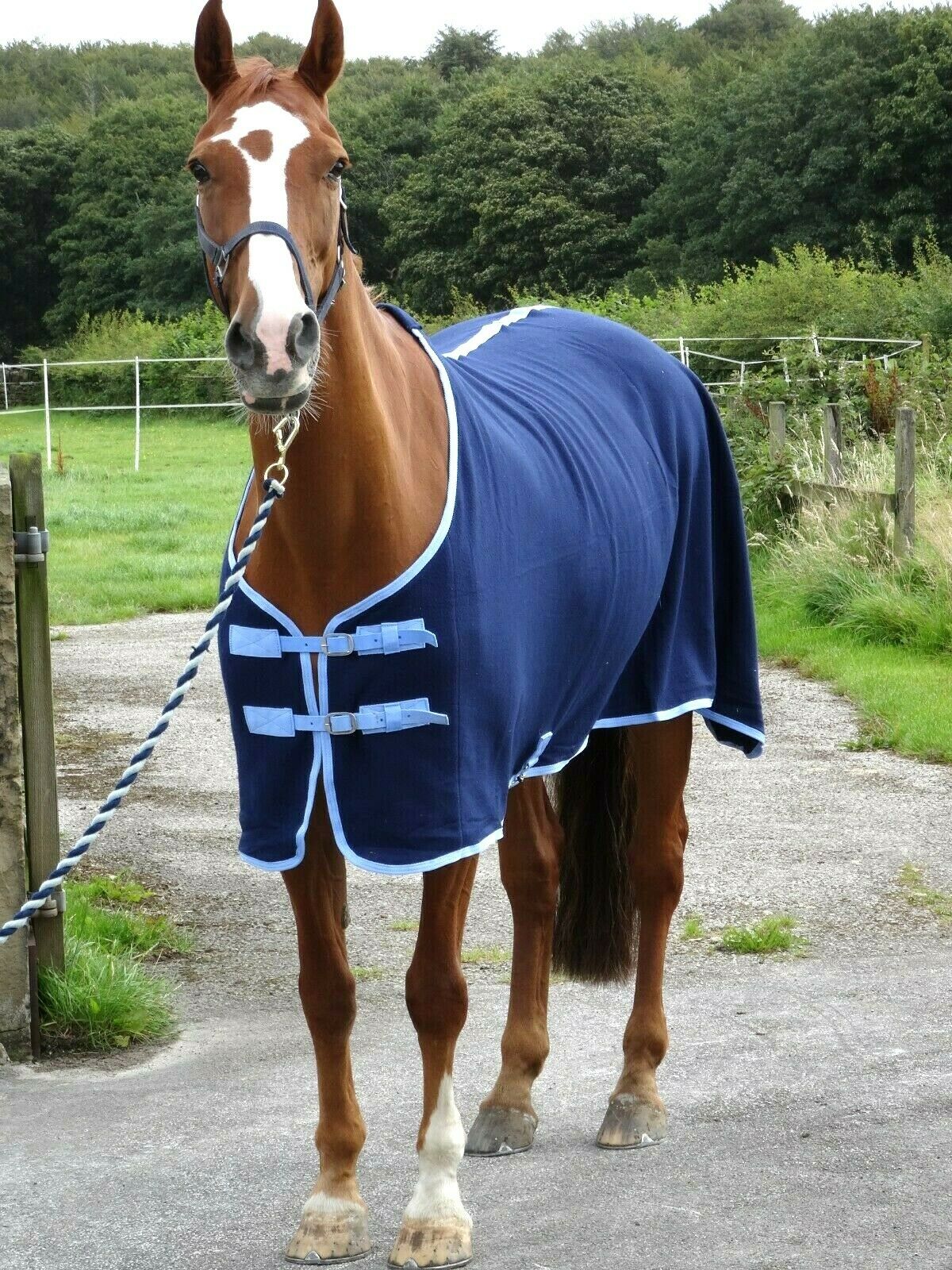 Navy Fleece Show Rug