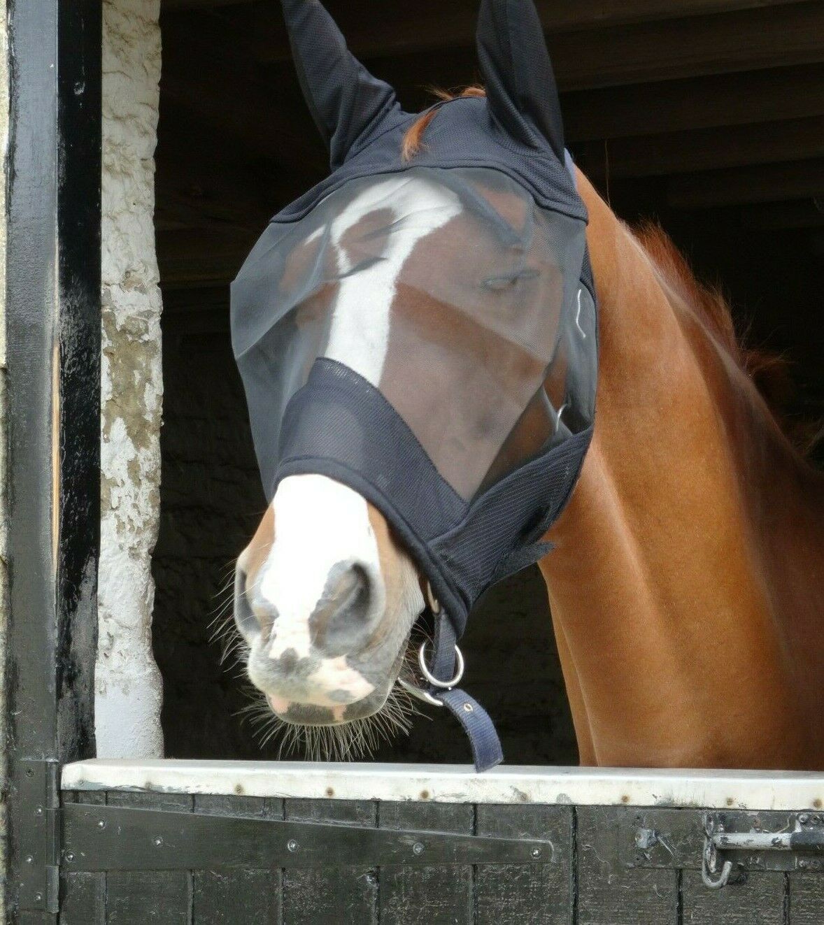 Black, White & Zebra Print Padded Mesh Fly Mask Hood with Ears - Pony / Cob / Full / X-Full