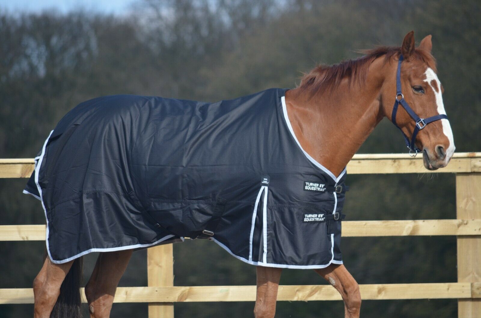 Heavyweight 600d Winter Turnout Rug 300g Fill Black