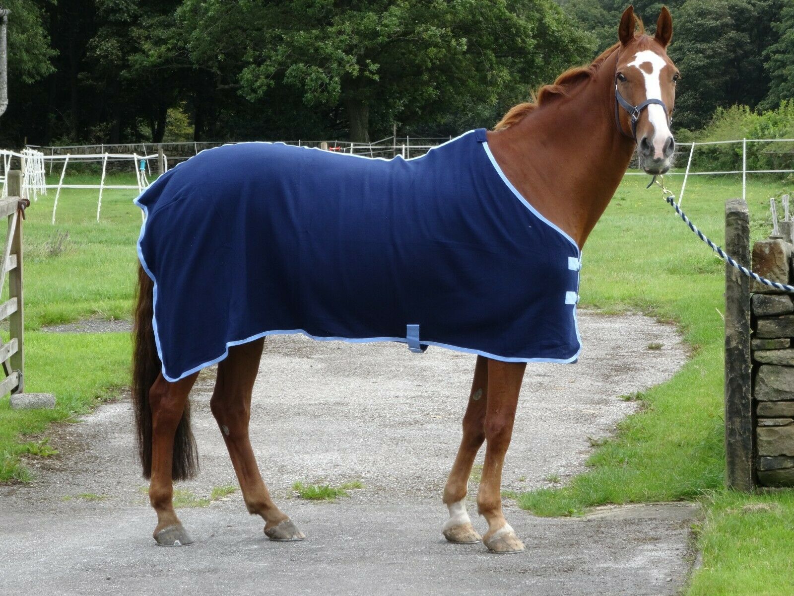 Navy Fleece Show Rug