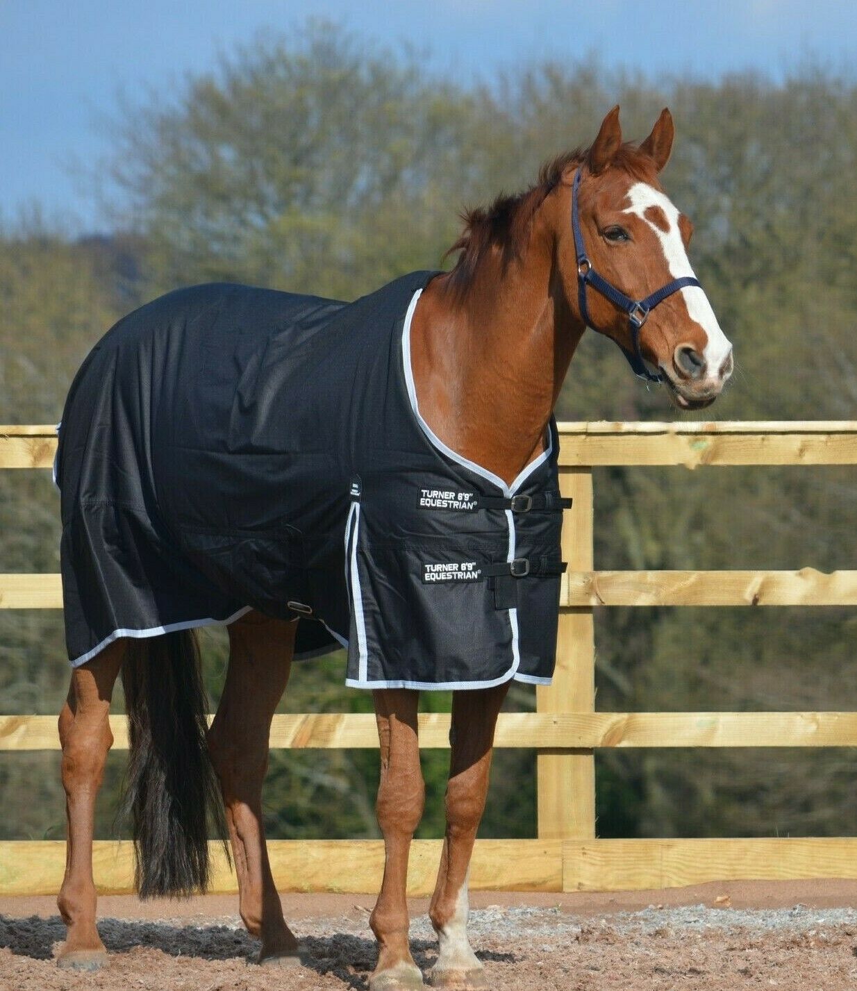 Lightweight 600d and 1200d Denier Turnout Rug 100g Fill Black