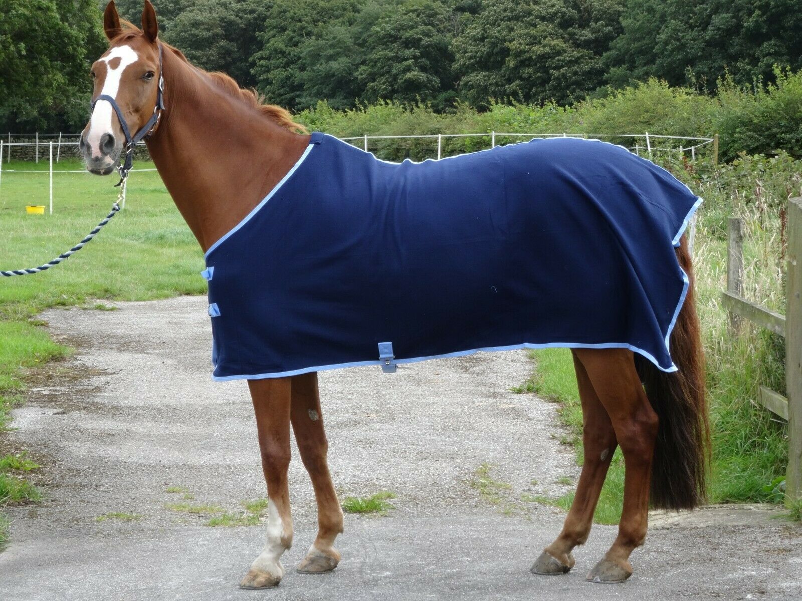 Navy Fleece Show Rug